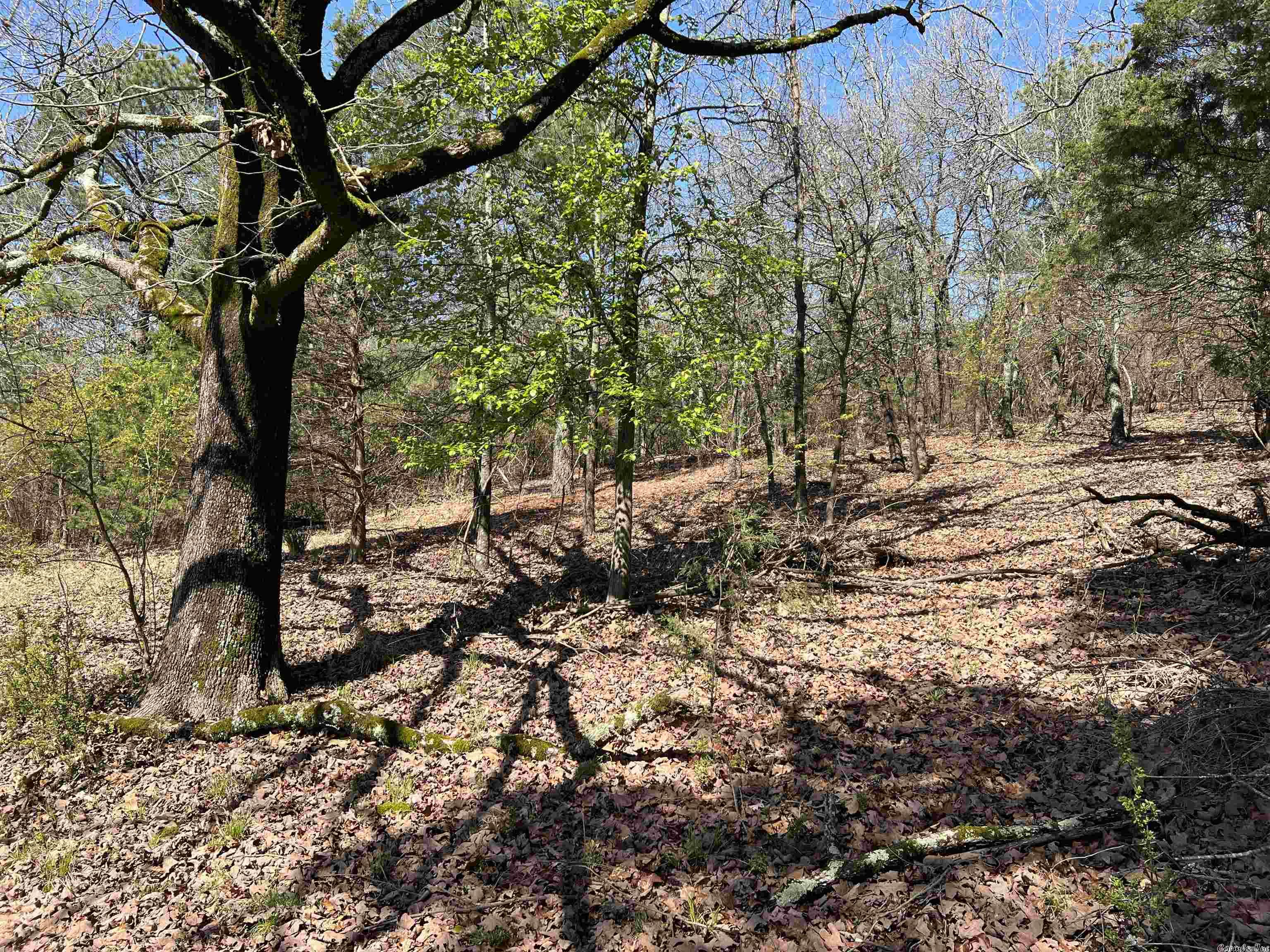 Not in Subdivision - Land