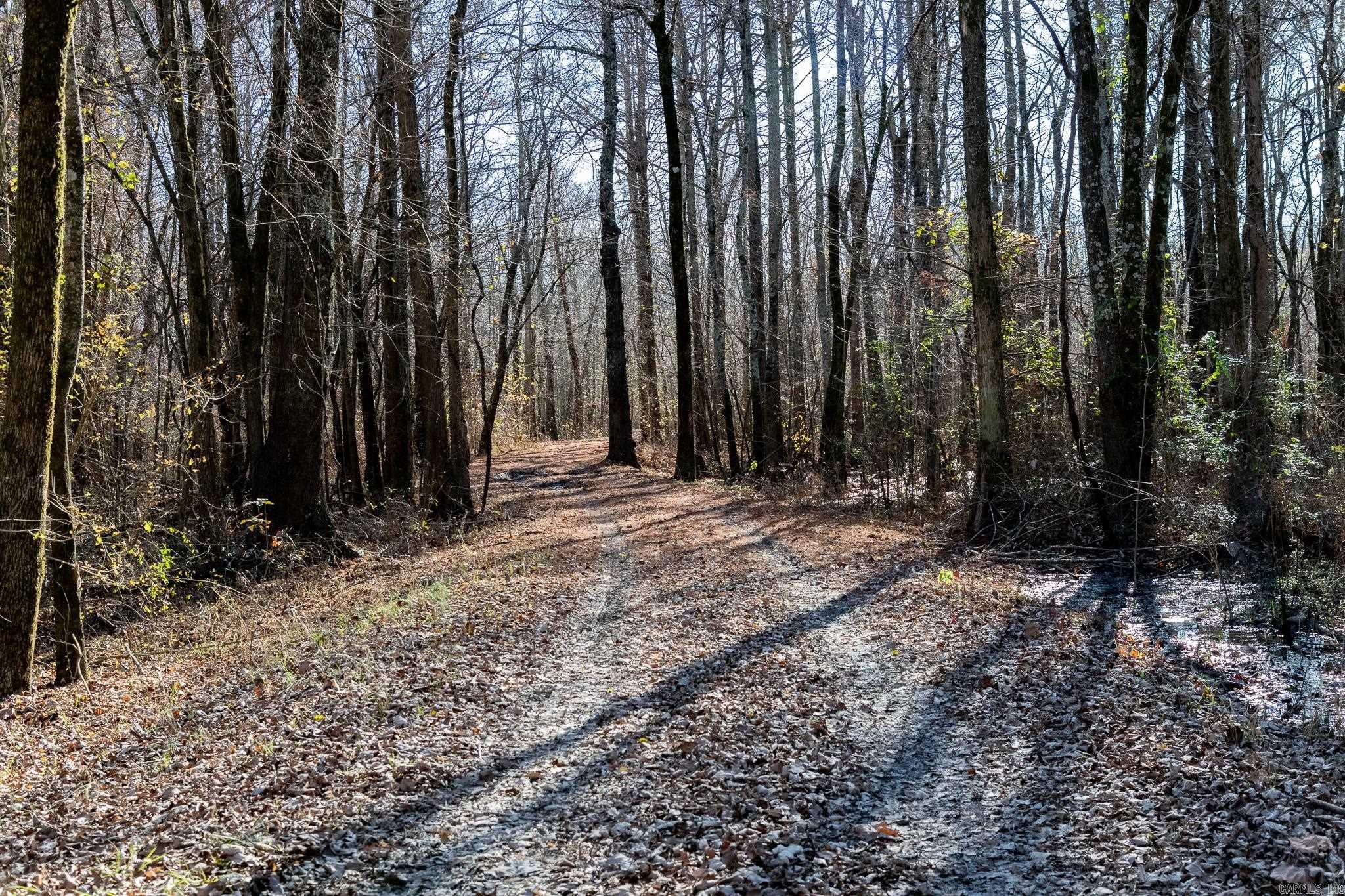 Not in Subdivision - Land