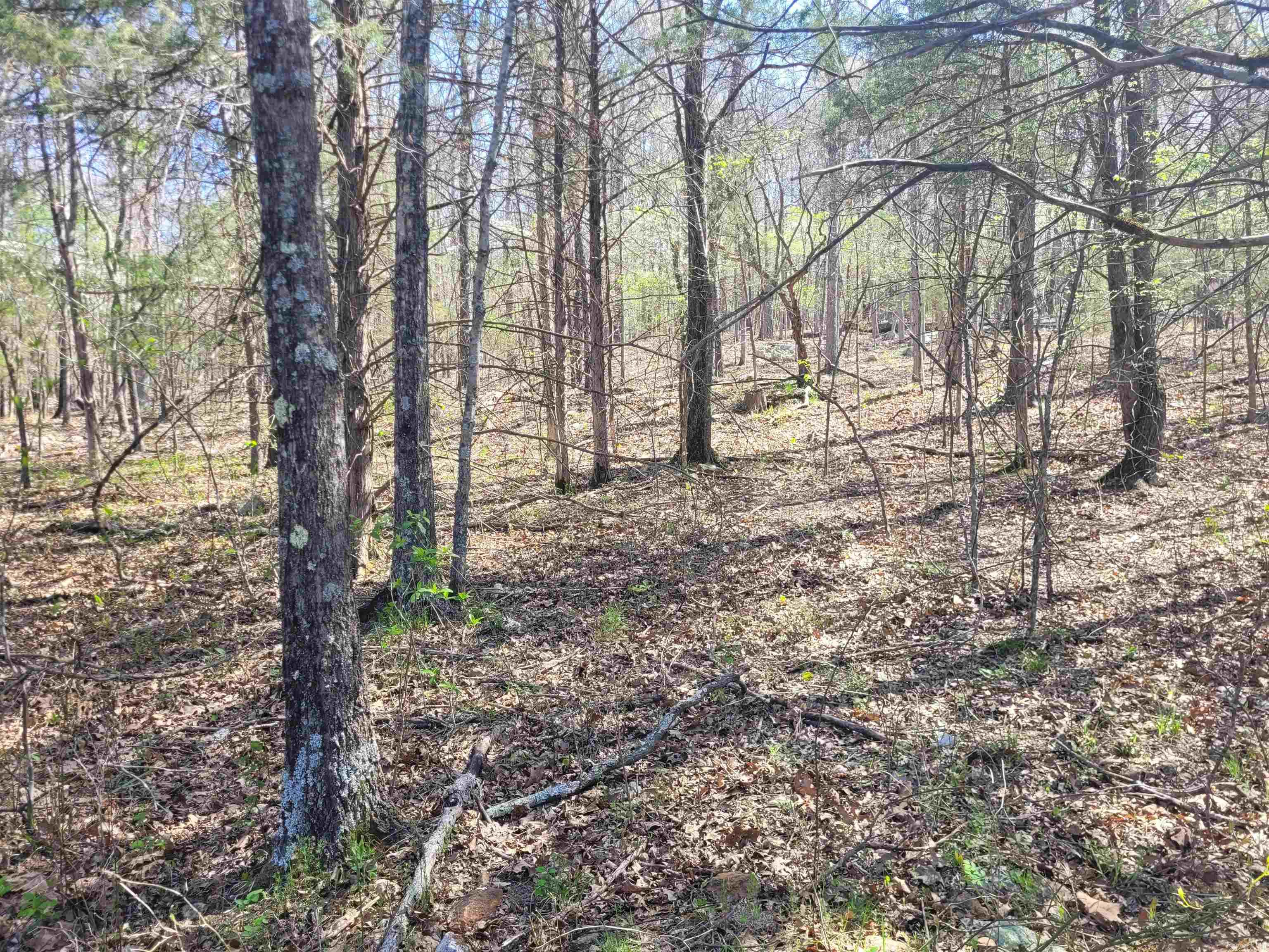 Metes & Bounds - Land