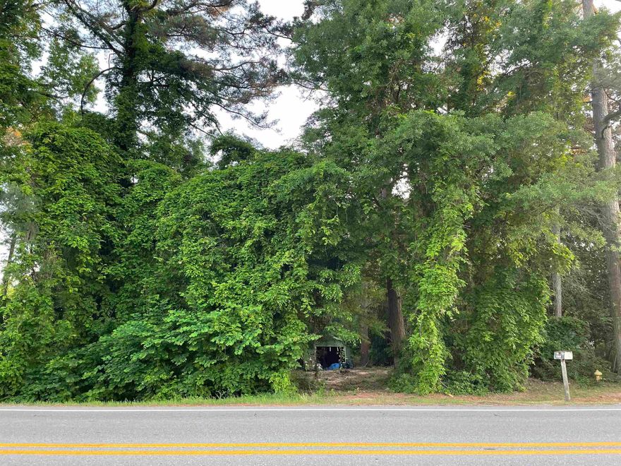 1.74 acres zoned for commercial with highway fronage! Great potential!!