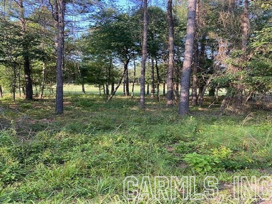 Level Lot on #16 fairway of Granada Golf Course. Perfect lot to build your dream house