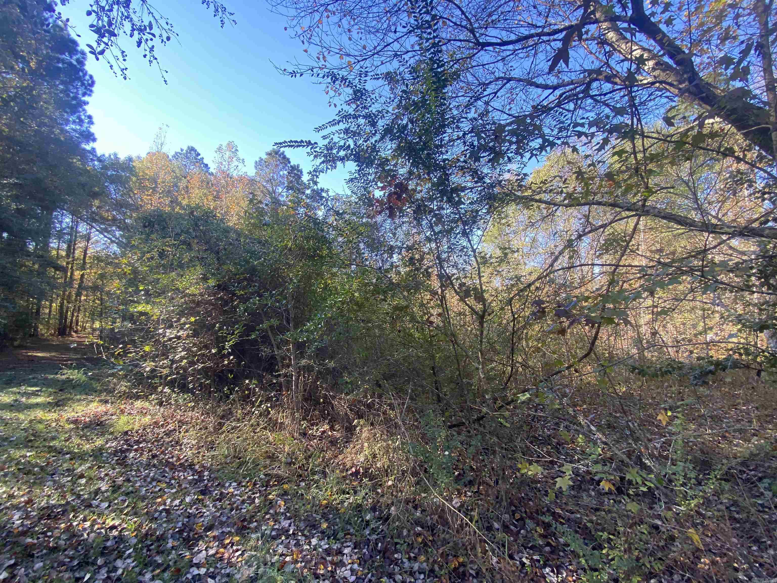 This is a nice wooded lot to build on or move your mobile home to. It needs minimal clearing. Its conveniently located just outside of Sheridan city limits off of hwy 270.