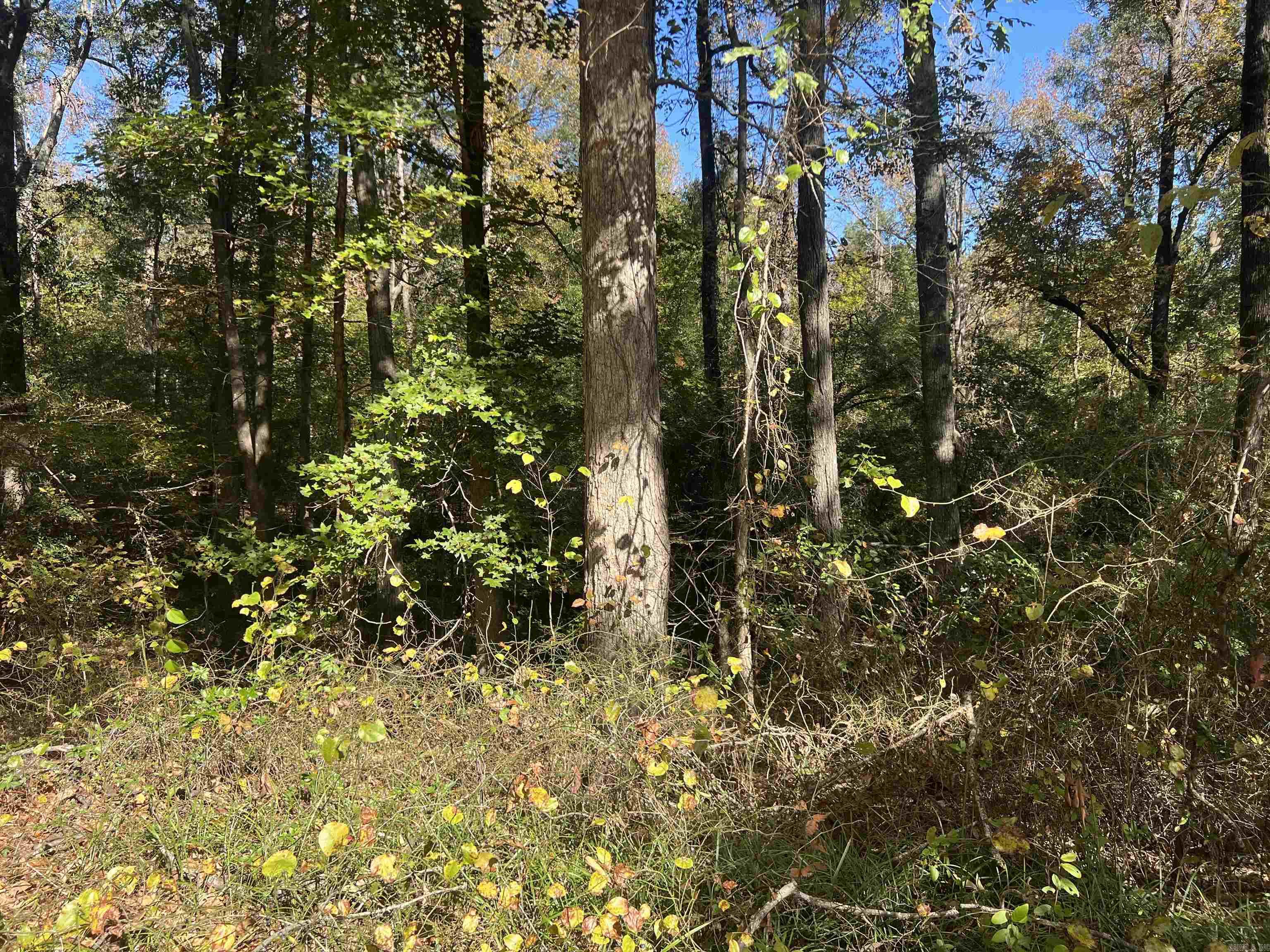 PLAINVIEW - Residential