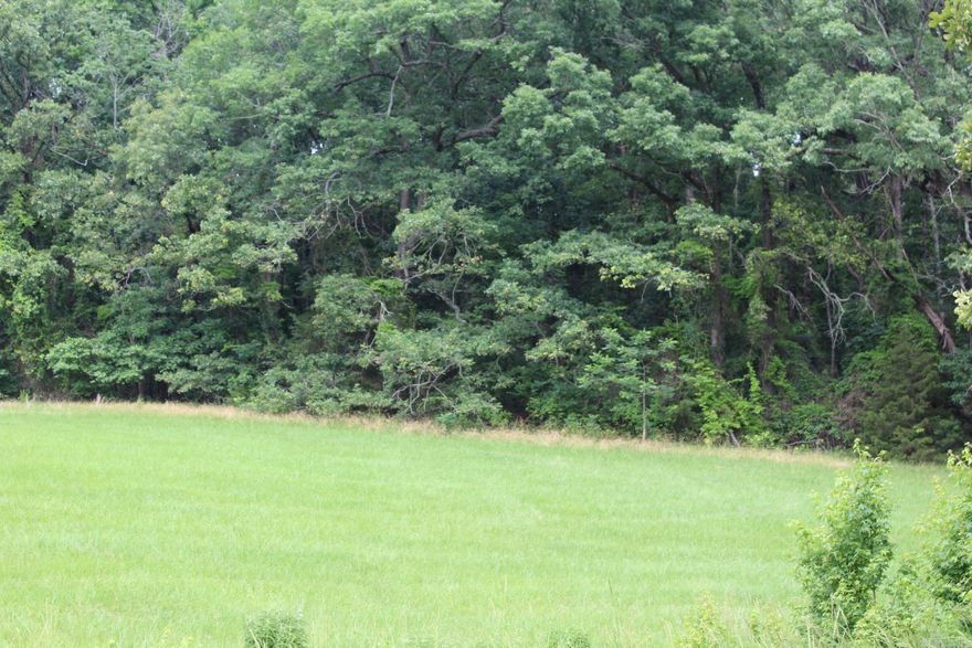 10 ACRES AVAILABLE