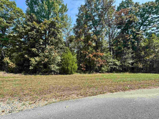 19998 UNDERSPRINGS DR, ALEXANDER, AR 72002 - Image 7723bb2e5fd561f6b47808d376904e64/3479941763