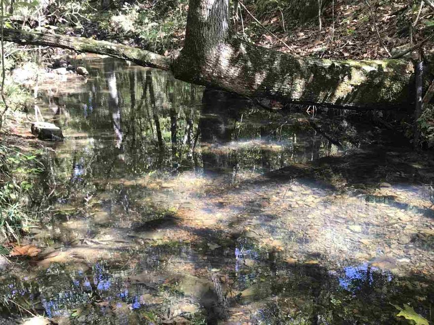 Turkey & Deer Abound...on 96 Acres +-, Recent dozer work, ATV trails, shooting lanes, food plots, creek, county road frontage and scenic off grid building sites, less than 2 miles off paved county road, hardwoods up to 14".