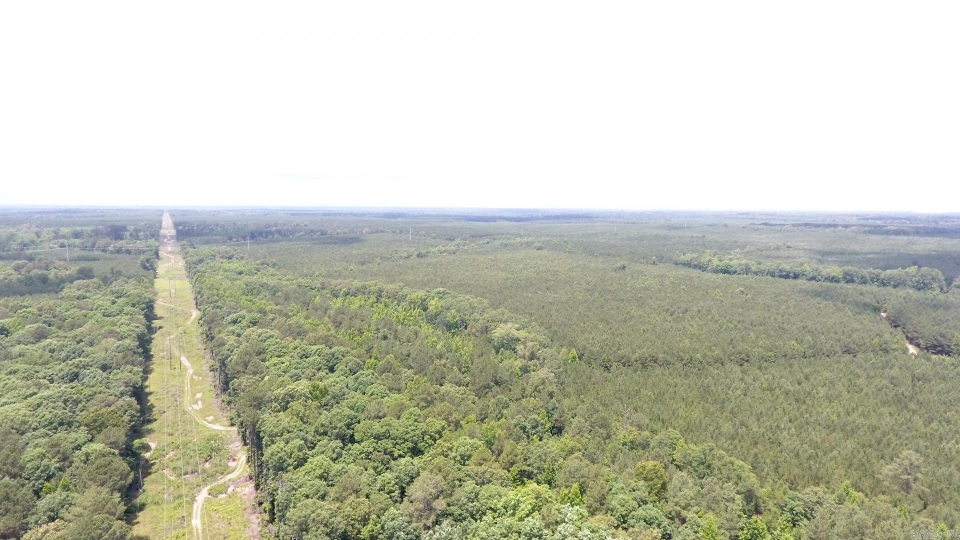 286+- acres planted pine timber, has had first thinning, some hardwood in creek bottoms, good deer, turkey & hog hunting, good timber investment property, would make great off grid hunting camp property for family or friends, less than 10 miles from Pine Bluff and White Hall. Good gravel roads to property. Trails and roads thru the property for good access to your hunting areas or for trail riding.
