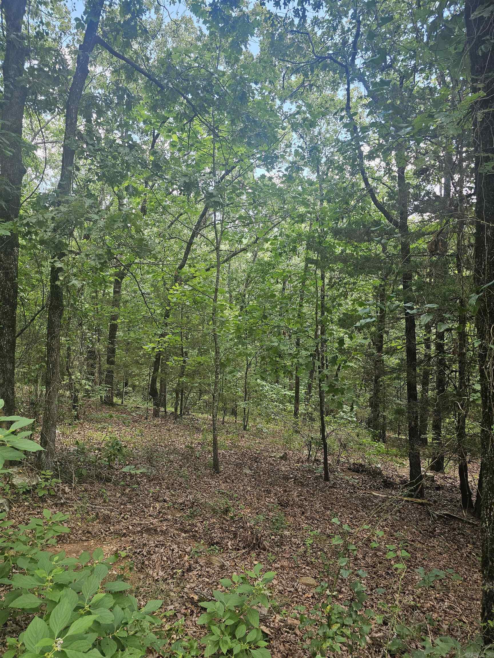 Perry Replat - Residential