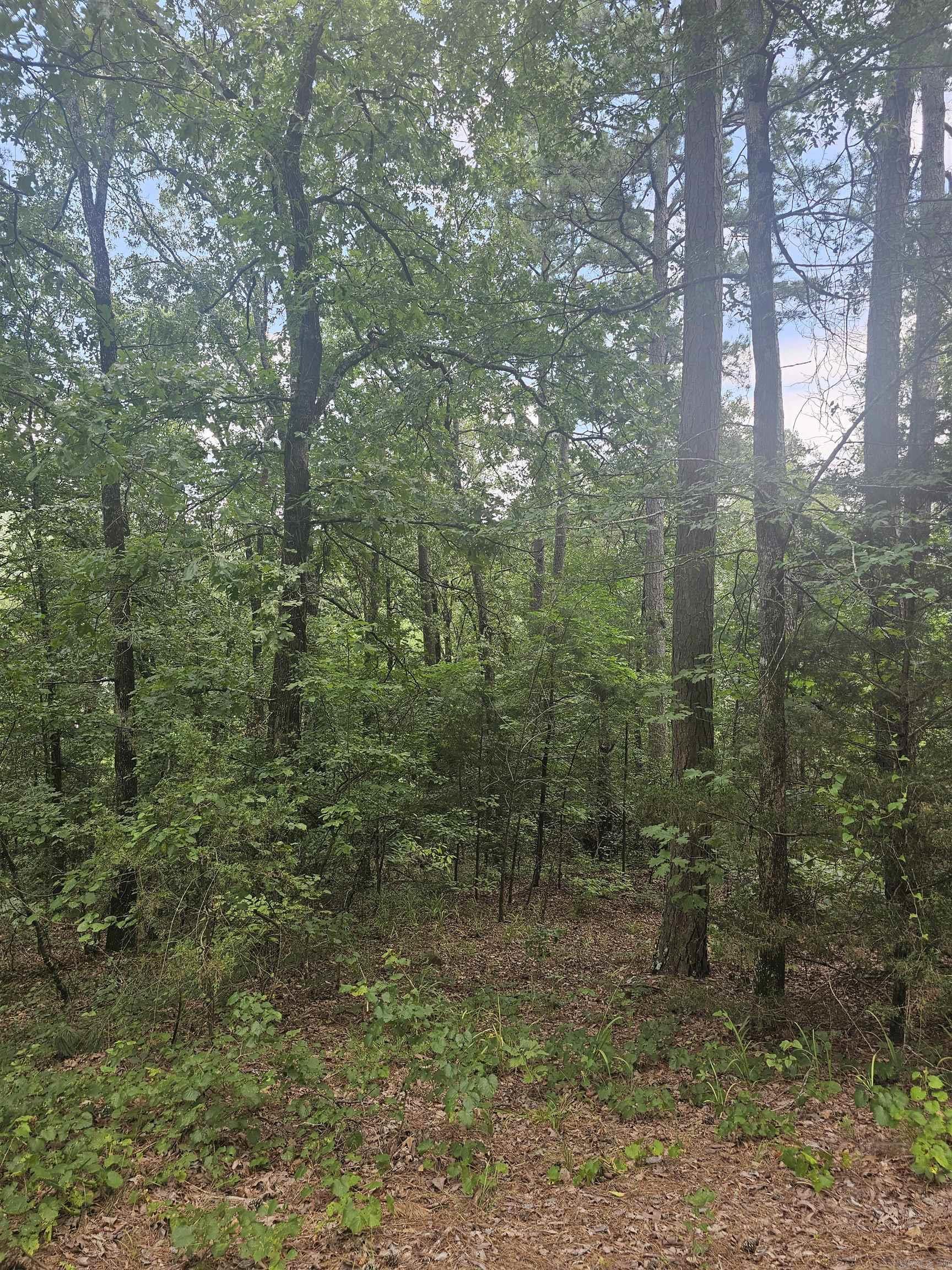 Perry Replat - Residential