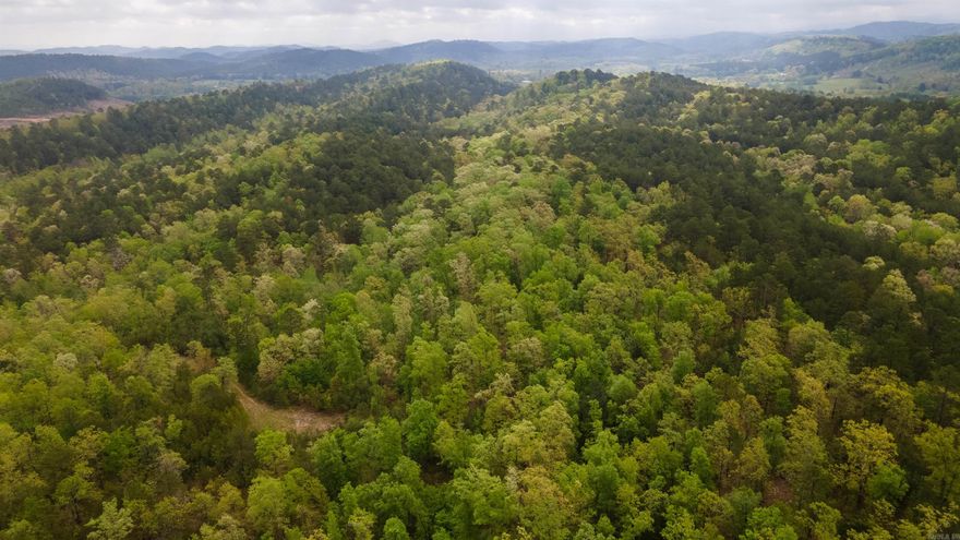 FANTASTIC large tract of land in a great location! This 120 acres  has amazing Mountain View’s and is located East of Mena, Secluded but Utilities are down the county road, You can ride out of this property to easy access all the TRAILS, creeks & rivers! You're a great ATV/UTV ride to Wolf pen gap, Little Missouri Trailhead, Big Fork Creek Natural Area, Little Missouri Falls, Big Fork store! Perfect for more than one home or cabins too!