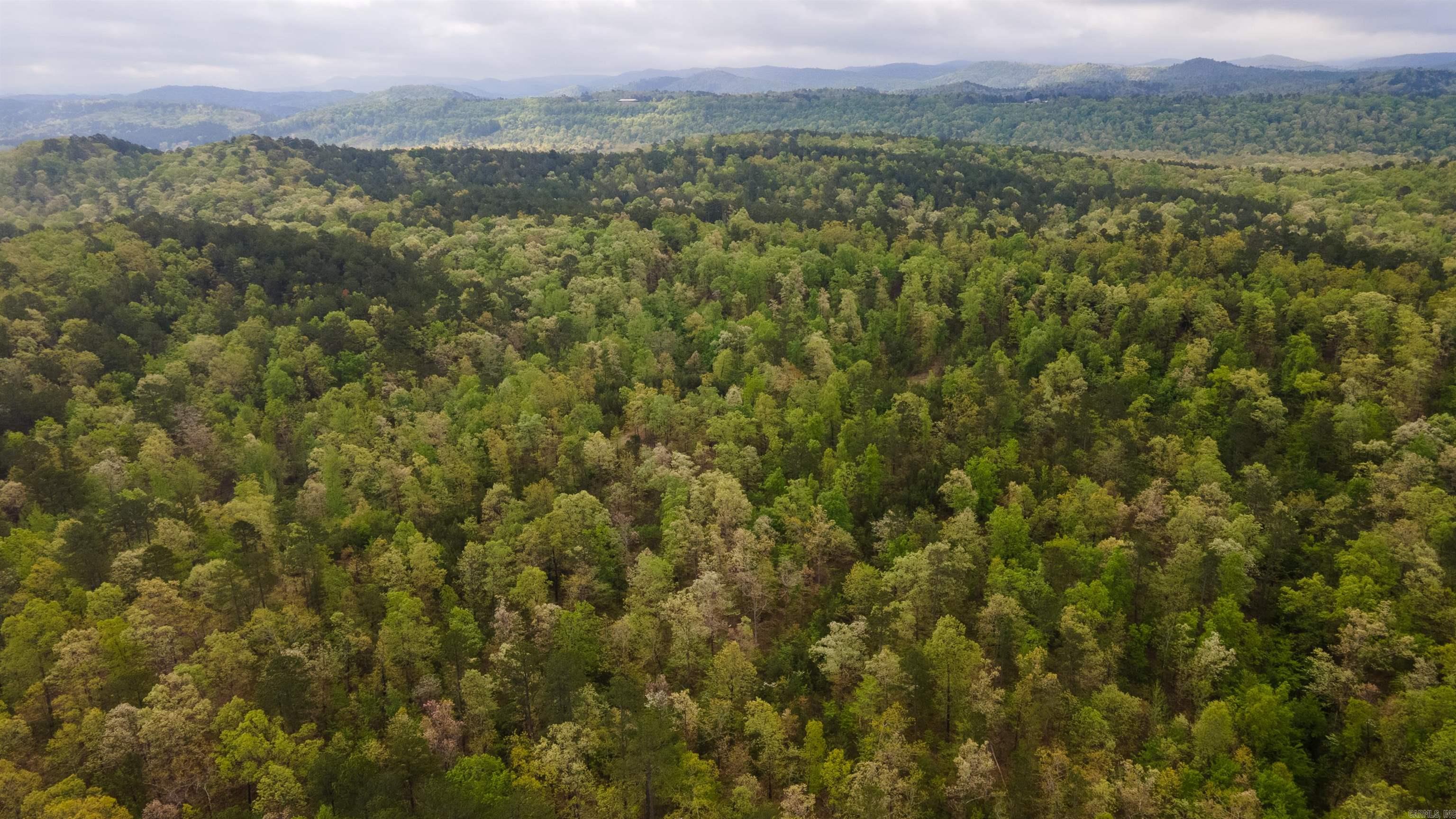 Big Fork Area - Farm