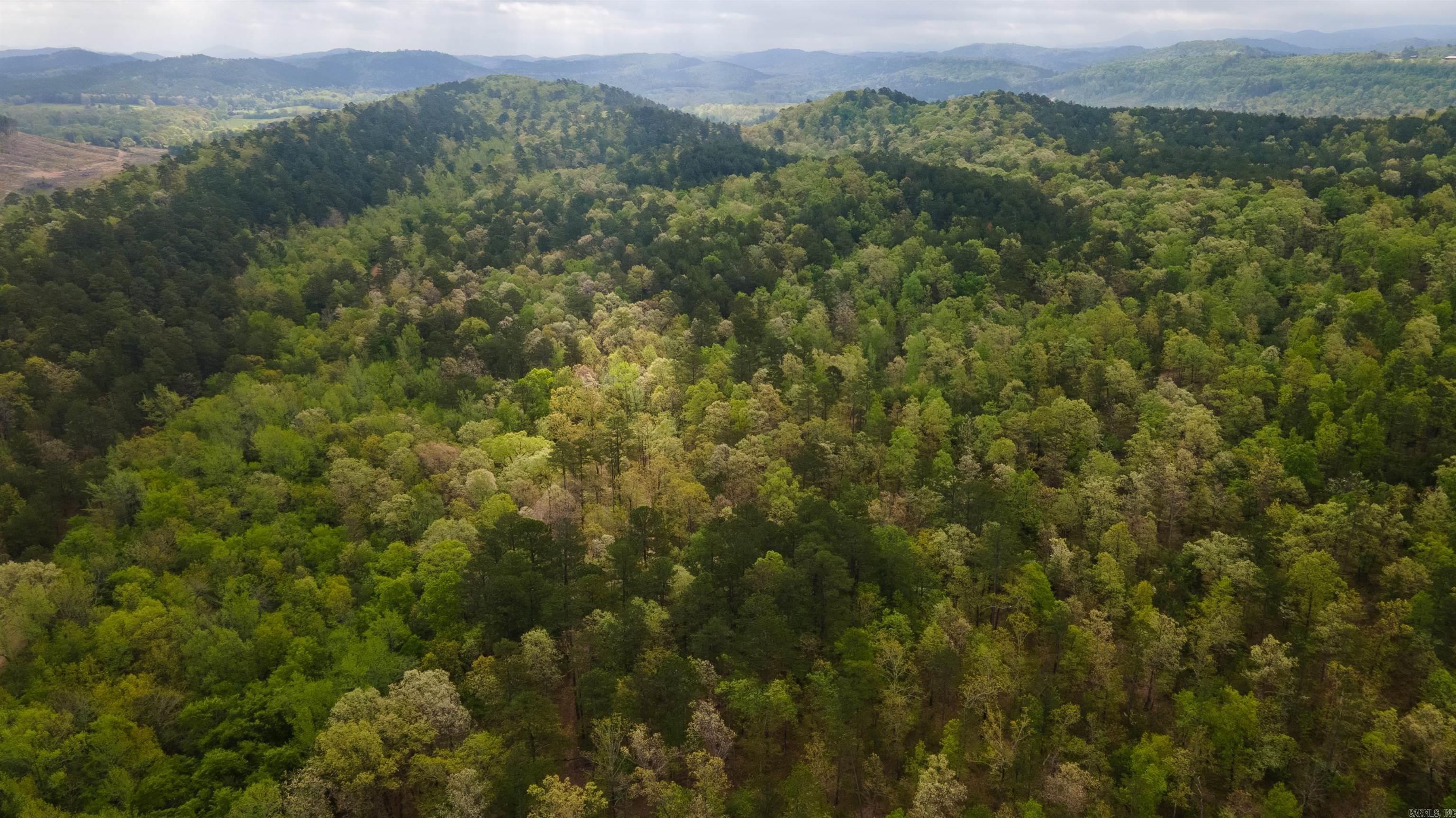 Big Fork Area - Farm