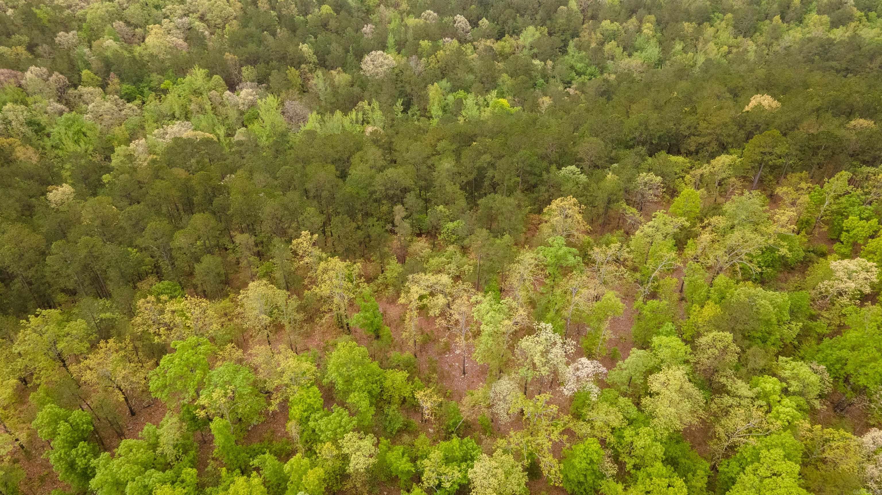 Big Fork Area - Farm