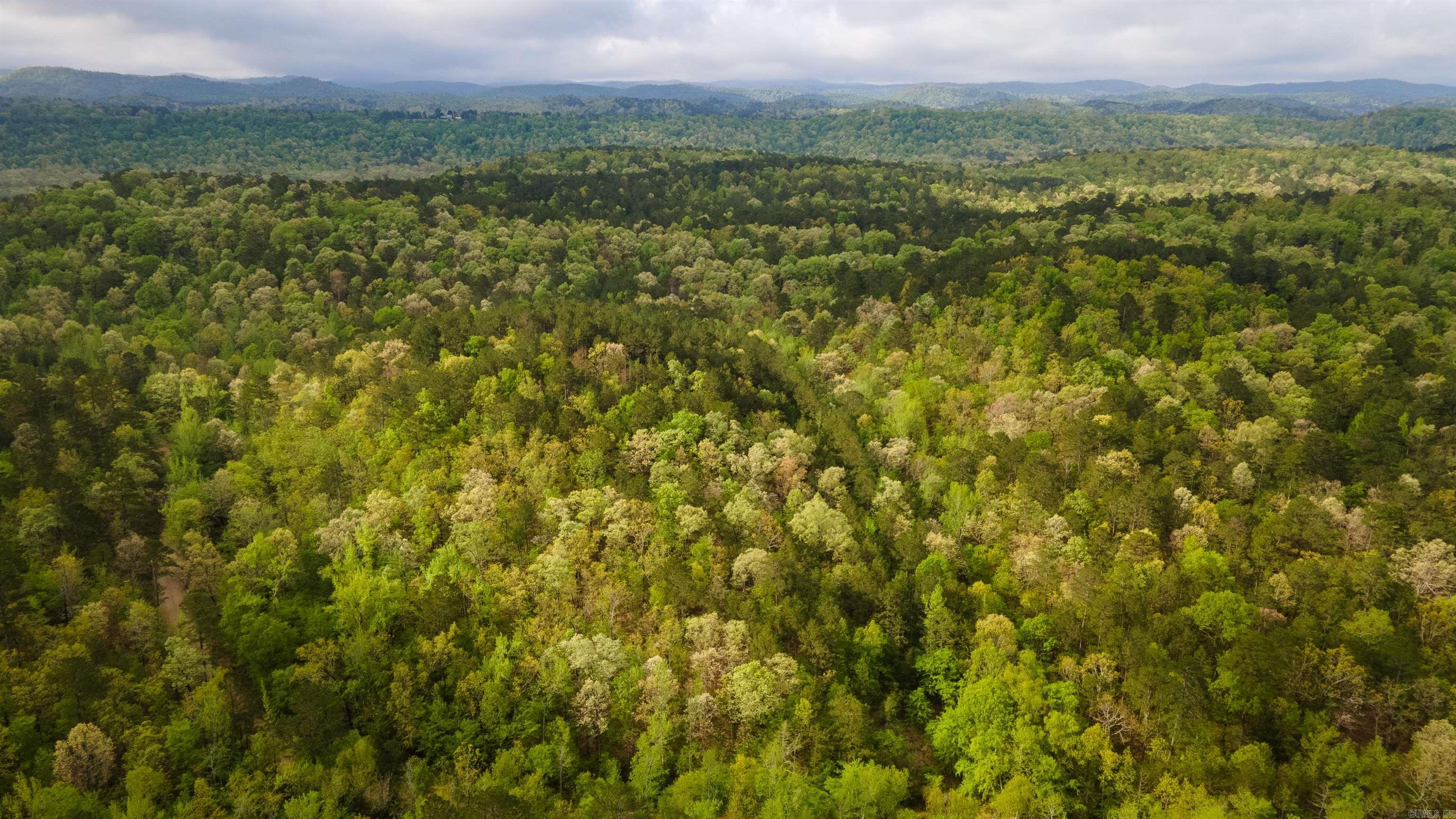 Big Fork Area - Farm