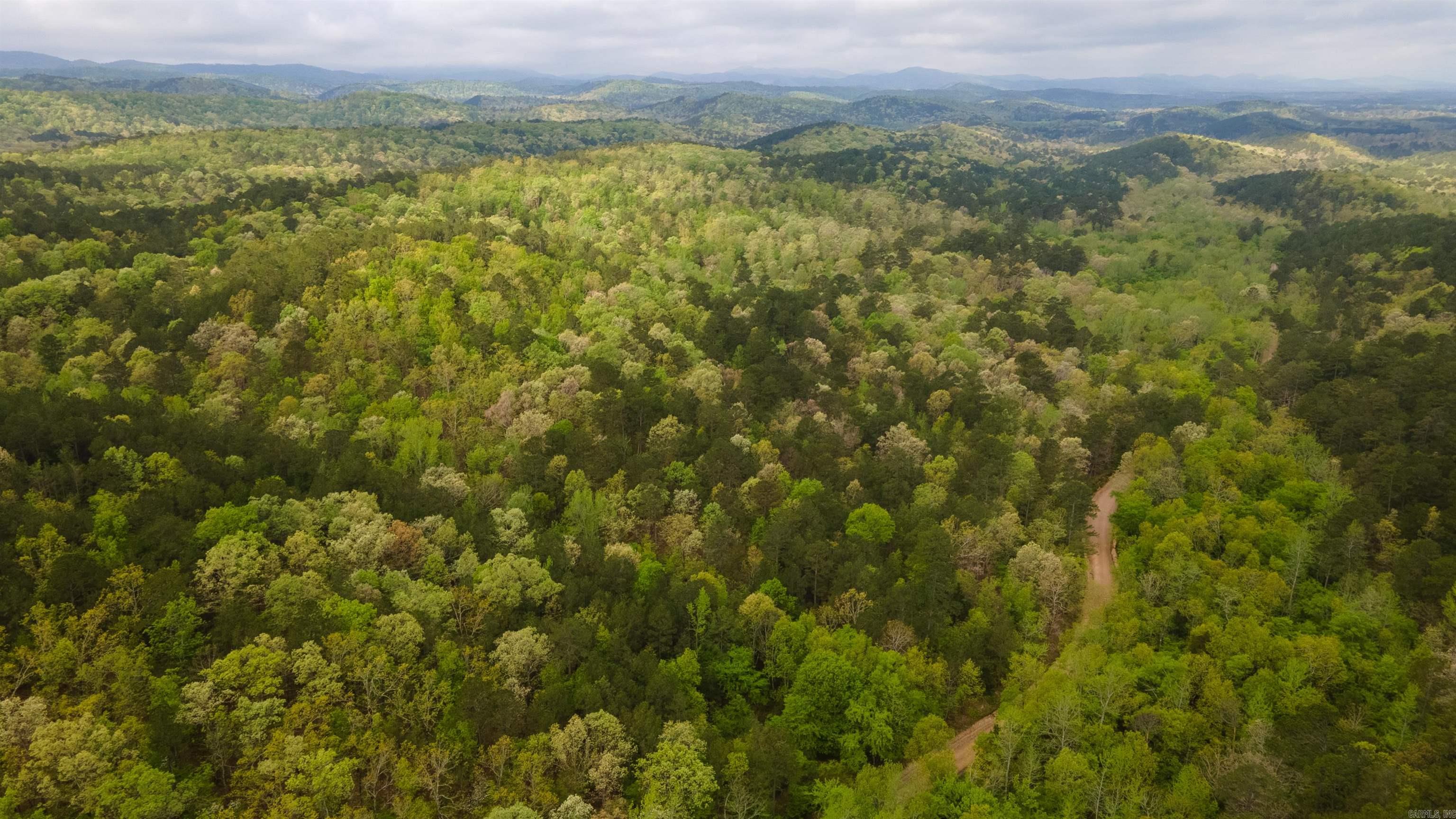 Big Fork Area - Farm