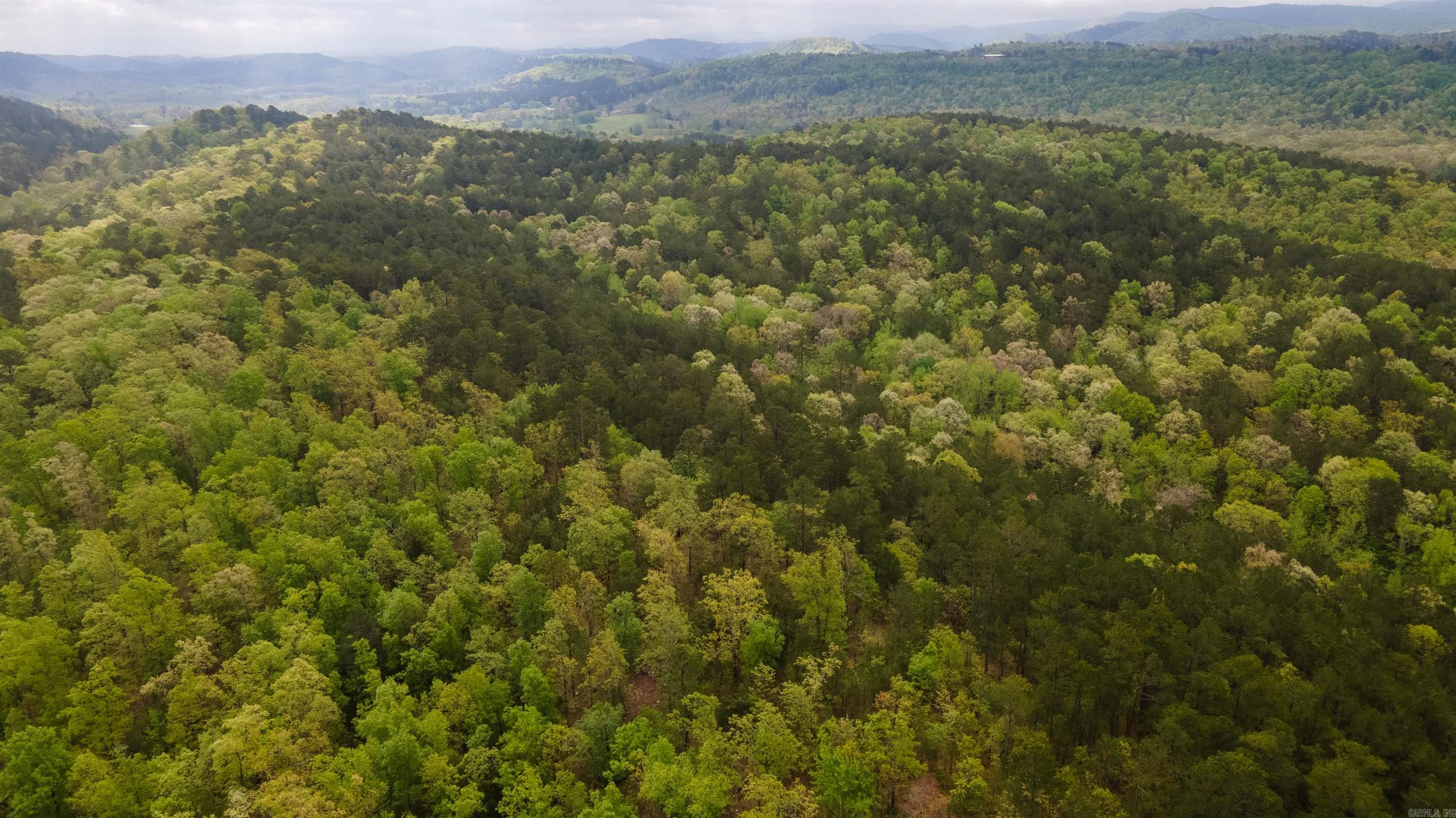 Big Fork Area - Farm