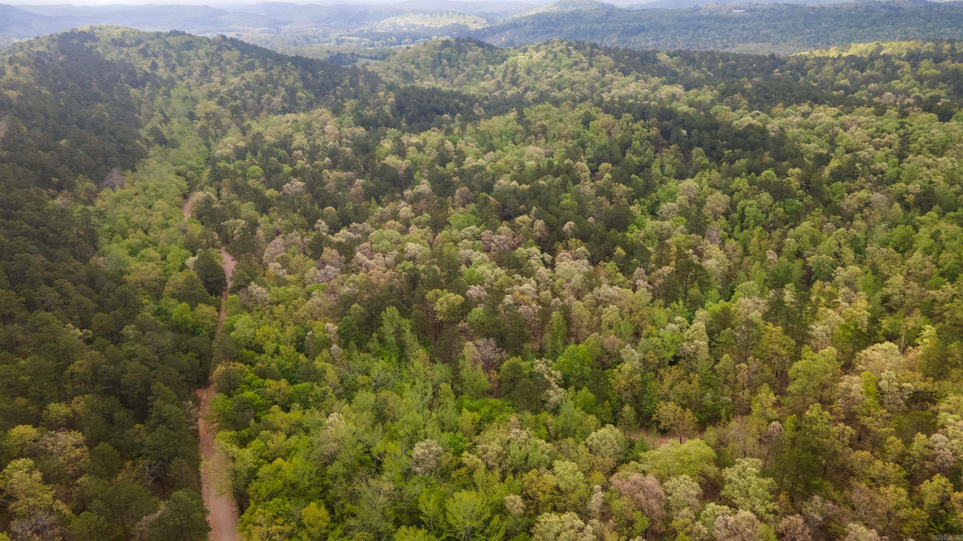 Big Fork Area - Farm