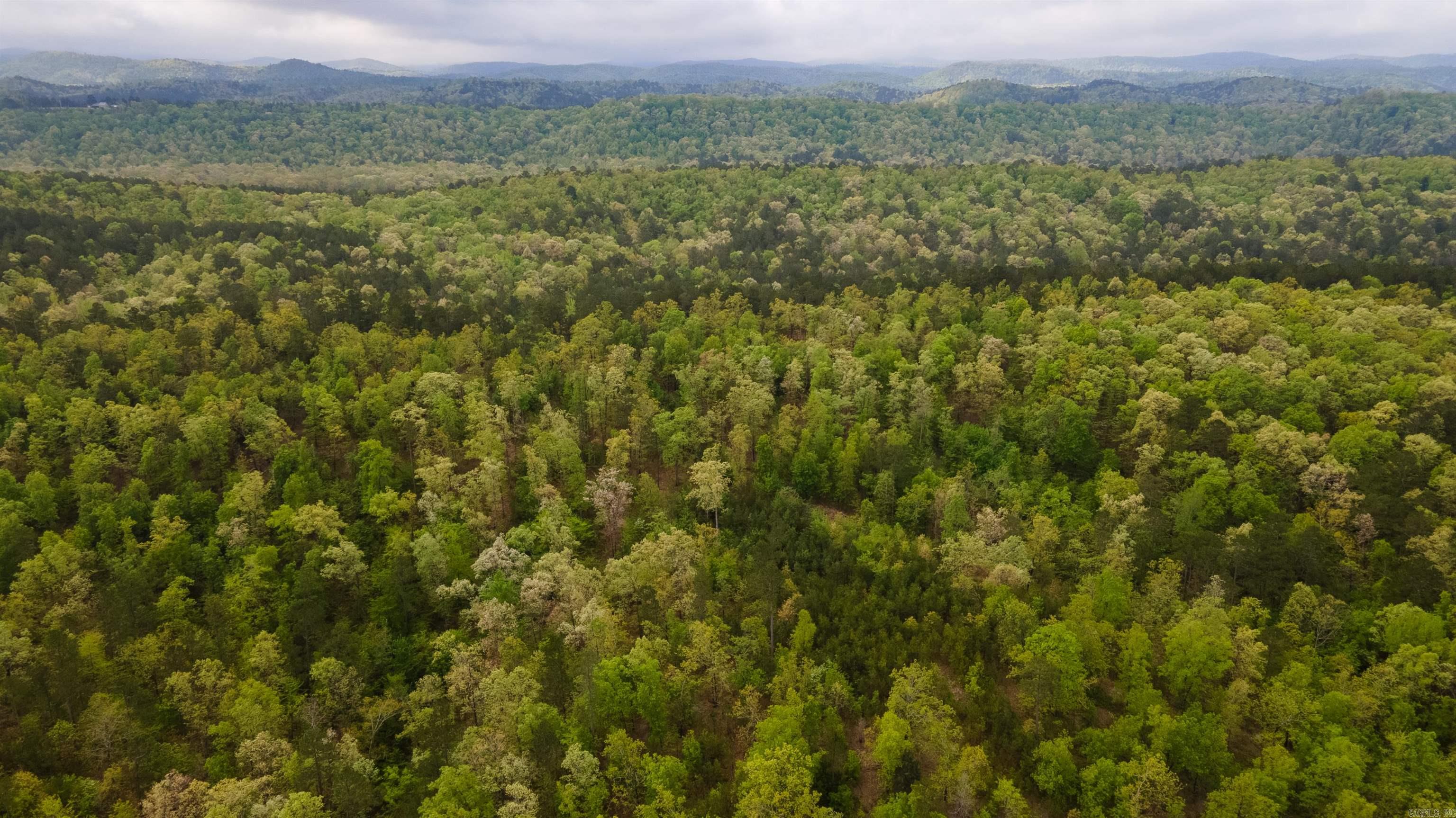 Big Fork Area - Farm