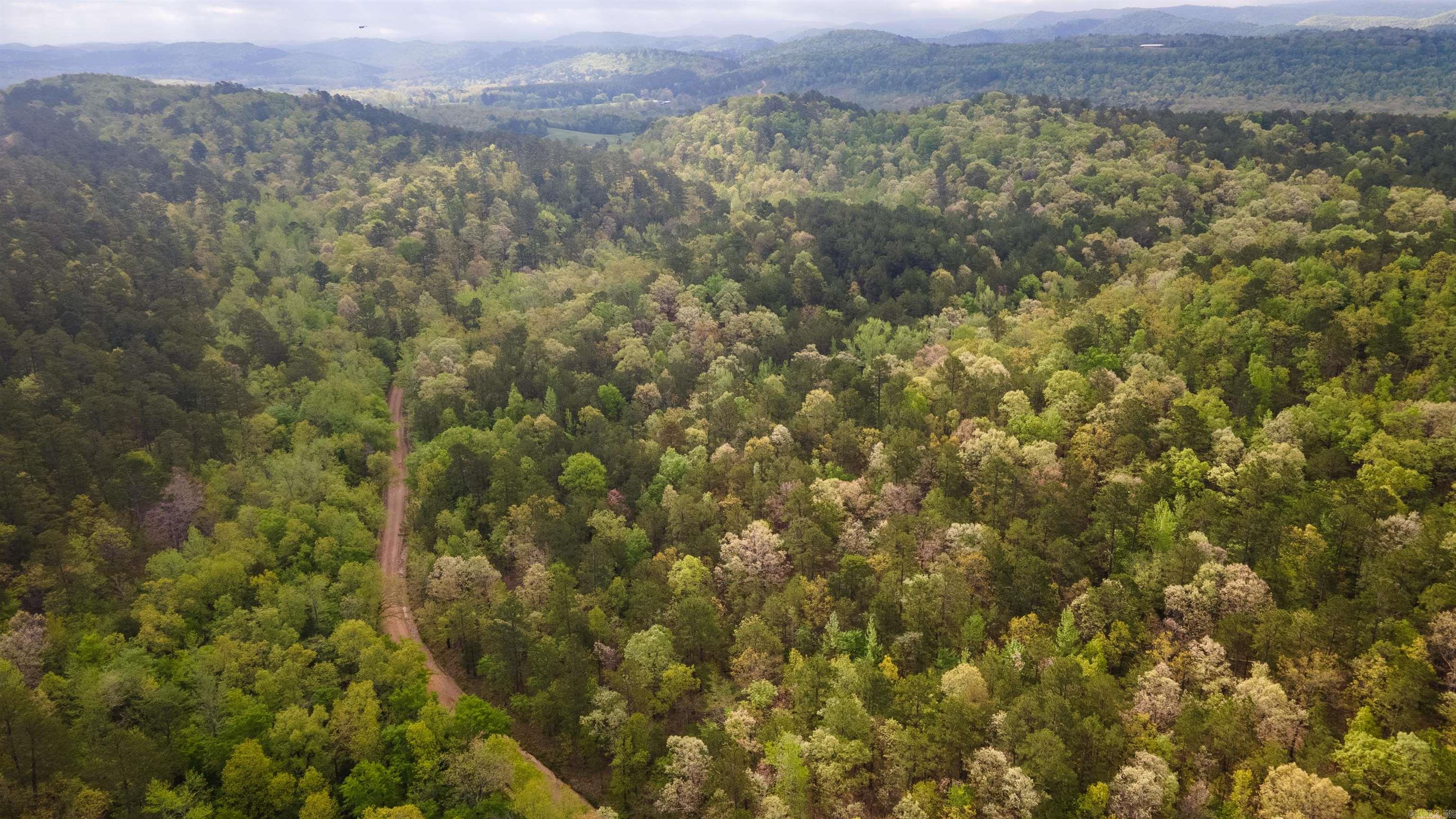 Big Fork Area - Farm