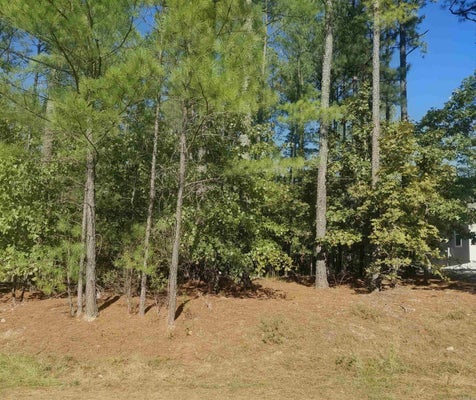16 VIGOROSO LN, HOT SPRINGS VILLAGE, AR 71909 - Image 773a1c6000f72f91cfd39ea7700e541c/3370672825