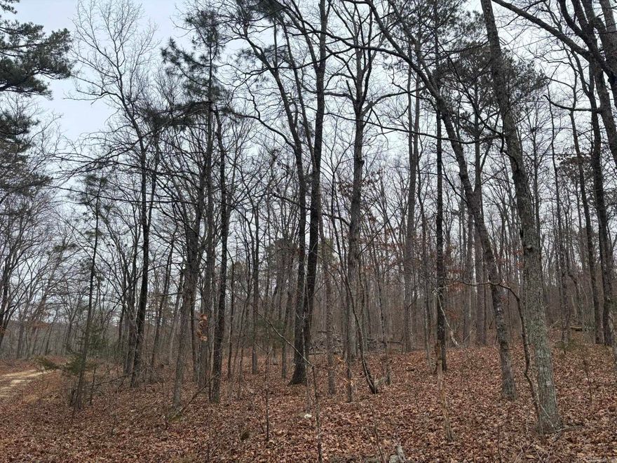 Perfect spot for that hunter or outdoorsman to build their cabin or place their camper. If you have been searching for a place to make a camp or somewhere to retreat in the woods on the weekend, this is the place. Completely remote with lots of wildlife that is close to beautiful Fairfield Bay and Greers Ferry. Come get lost in these beautiful timbers. WONT LAST LONG!!!