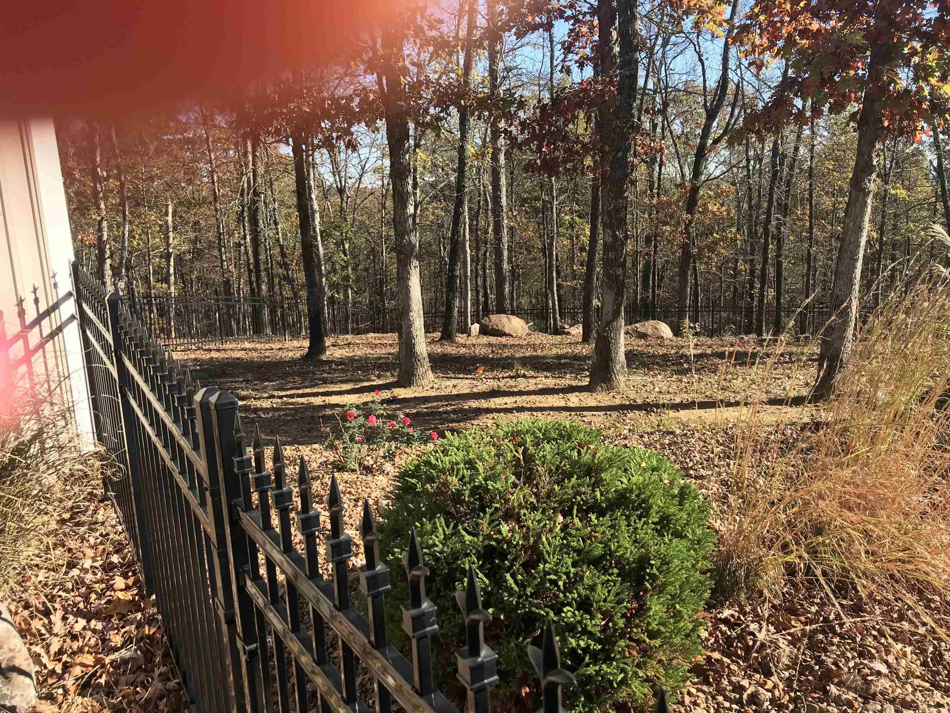 OSAGE POINT - Residential