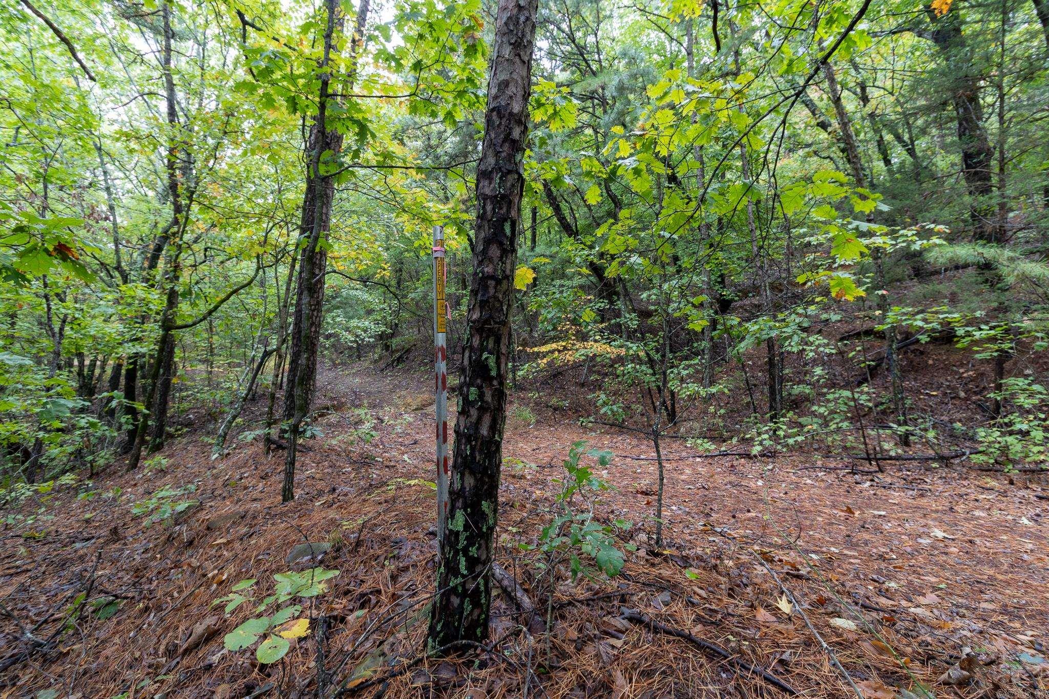 Not in Subdivision - Land