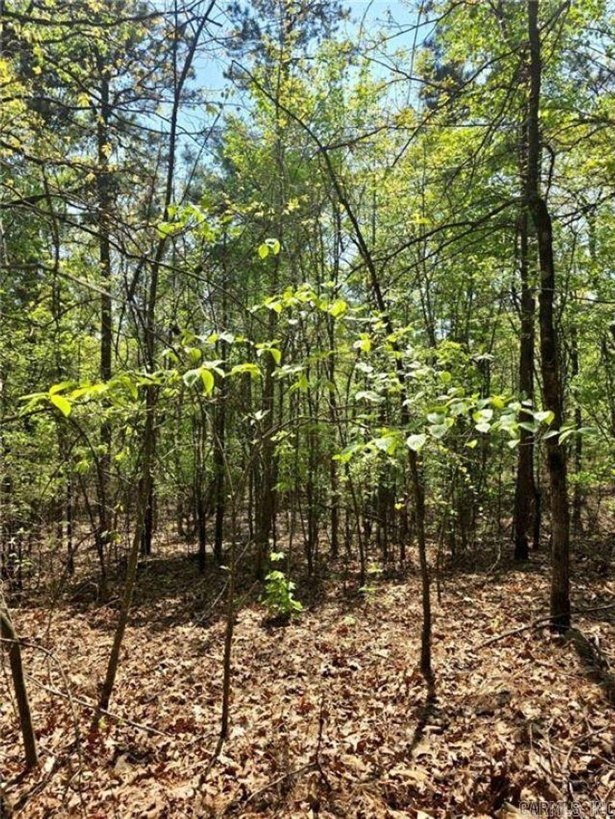 Tucked away just about 15 minutes or so North of Clarksville, this beautiful 10 acre tract offers the kind of privacy and natural surroundings that are getting harder to find. Bordering thousands of acres of National Forest on two sides, you'll enjoy unmatched access to nature, wildlife, and endless outdoor adventure right out your back door. Whether you're looking to build your dream home, create a weekend retreat, or invest in land with future potential, this property checks all the boxes. The timber is an added bonus, with harvest potential in approximately 8-10 years, offering an opportunity for future return. Peaceful, private, and full of possibility - this is land you don't want to miss!