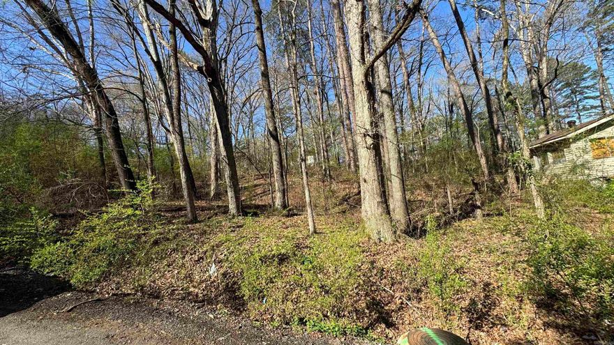 Lot located off John Barrow in Little Rock offering great opportunity for investors or future development. Surrounded by established homes with convenient access to shopping, dining, and major city amenities. The natural landscape and mature trees provide a private setting while still being close to everything Little Rock has to offer.