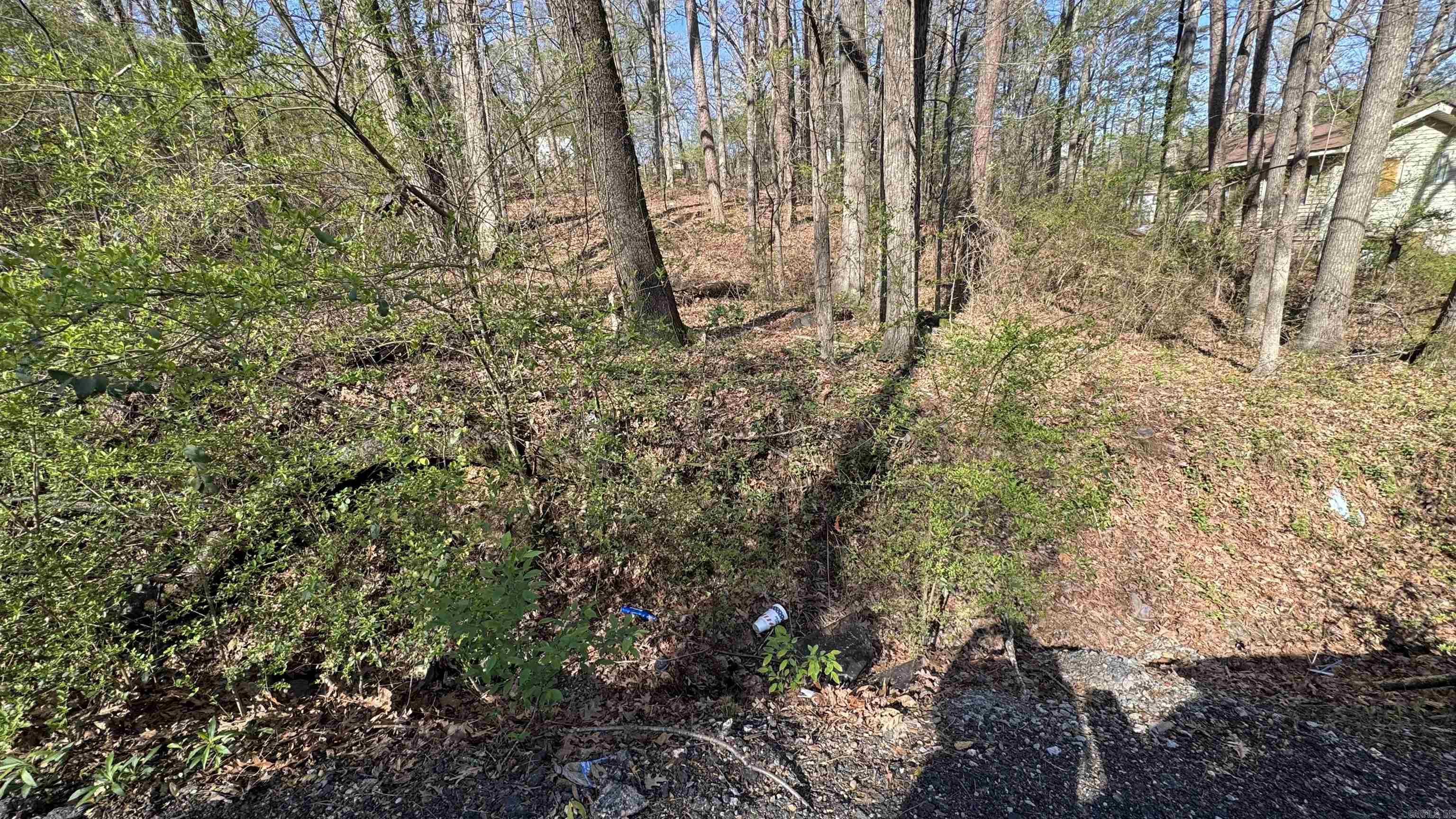 Barrow John 7L - Land