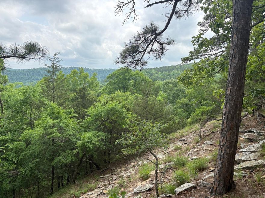 320 +/- Acres | Stone County, Arkansas | Middle Fork Little Red River Frontage Held by the same family for over 70 years, this remarkable 320 +/- acre tract in Stone County, Arkansas offers a rare opportunity to own a true piece of the Ozarks-untouched, unspoiled, and rich with natural character. This property features approximately 750 feet of Middle Fork Little Red River frontage, along with three year-round creeks winding through the land. These abundant water sources create an ideal environment for wildlife, making this property a haven for whitetail deer, turkey, and bear. The timber has remained unharvested for decades, offering not only a pristine, natural setting but also strong long-term investment potential. Mature hardwoods, diverse terrain, and untouched ground provide the kind of landscape that is becoming increasingly difficult to find. Whether you're looking for a hunting property, recreational retreat, or land investment, this tract offers incredible opportunity. Its combination of water, wildlife habitat, mature timber, and long family ownership makes it truly stand out. Mineral rights convey. NO LEGAL ACCESS.