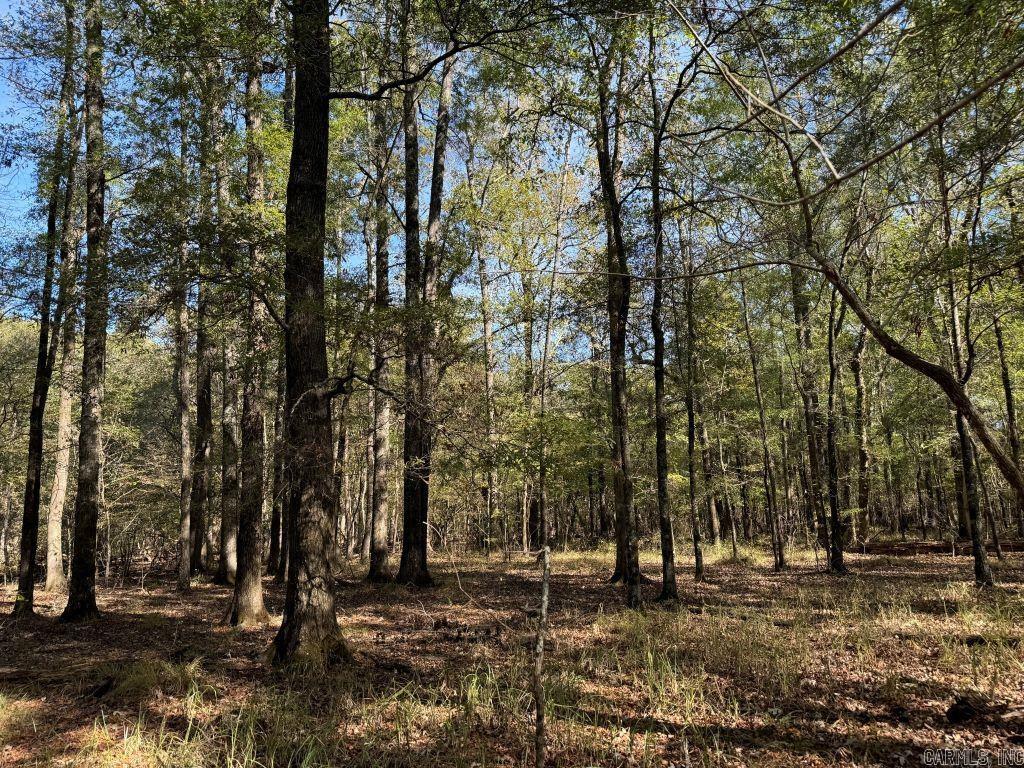 Escape to nature and discover your private paradise on 60 +/- acres of beautiful, mature hardwoods. This property is only 10 minutes from Arkadelphia, making it an excellent hunting spot. The mature timber also provides a solid investment opportunity. Utilities are available on Open Banks Road. Call today for more information!