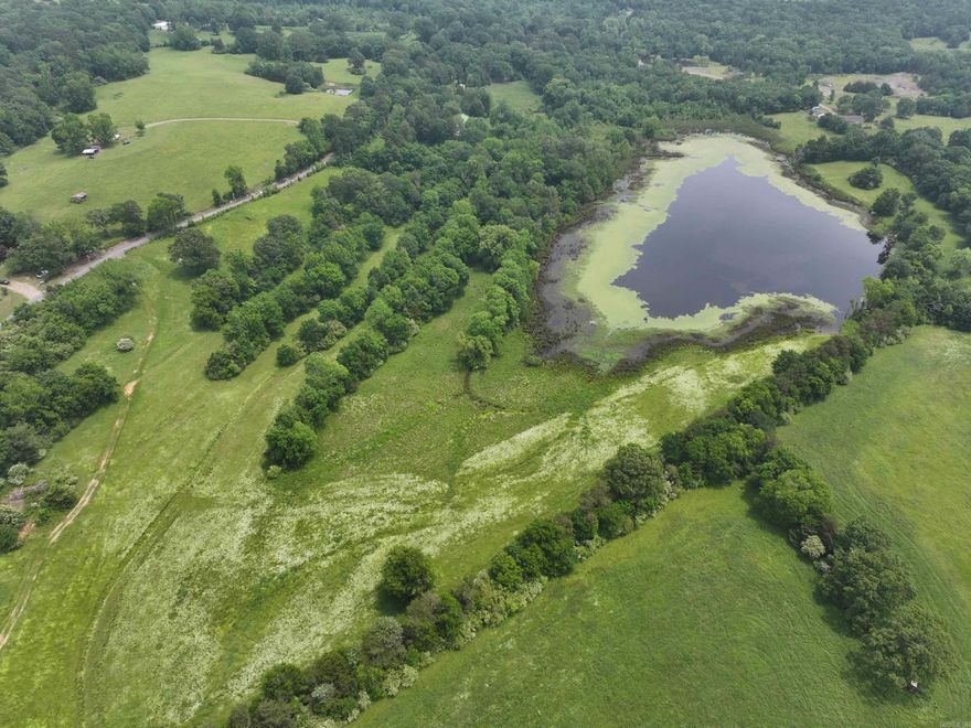 Beautiful acreage located just 2 miles south of Wilhelmina Lake on a paved county Road.  This property is currently being utilized as Hay Fields but can be used for Cattle or Horses.  Several nice, Large Red Oak and Walnut Trees are scattered over the property.  This property has a large pond that is stocked with Fish!  There is water and electric on the property. This is a Great place to start your own Homestead.  It has a mix of pasture , Woods and water!