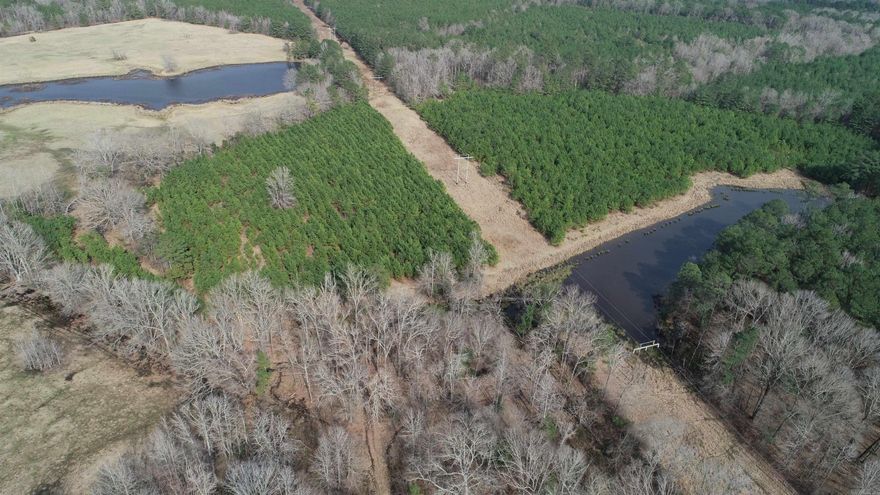 The ‘Ogemaw 187 Tract’ (#03019-03880) is a ±187.59-acre tract located in the southwestern part of Ouachita County near the Ogemaw community and about three (3) miles northeast of the town of Stephens.  Looking for a timberland investment, a hunting property, or a farm, or all of the above!?...then we’ve got the property for you!  Check out the Ogemaw 187 Tract!  The property has: - ±120 acres from which all timber was recently harvested and is ready for replanting or conversion to pasture.   - ±33 acres of fields that were planted with loblolly pine in 2015 and could be left to add to the future potential timber revenue of the property or cleared for more pasture. - ±24 of timber that was recently selectively thinned that adds great diversity for game. - ±5 acres of utility right-of-way that can be used as pasture or wildlife opening. - ±2.3 acre pond - ±3 acres along of open area along the county road that would serve as a great home site or camp site!