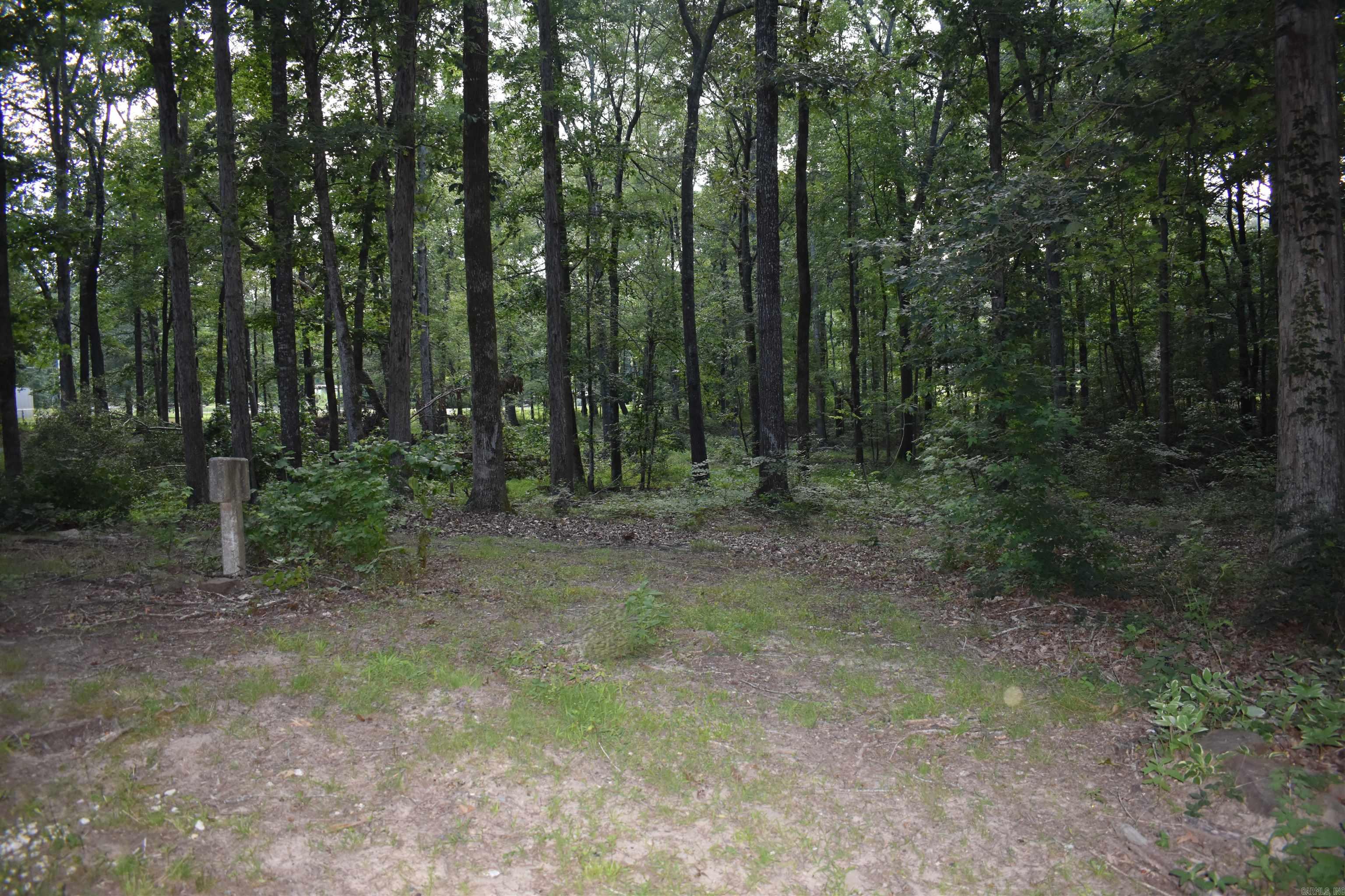 CHAPEL FOREST SUBDIVISION - Residential