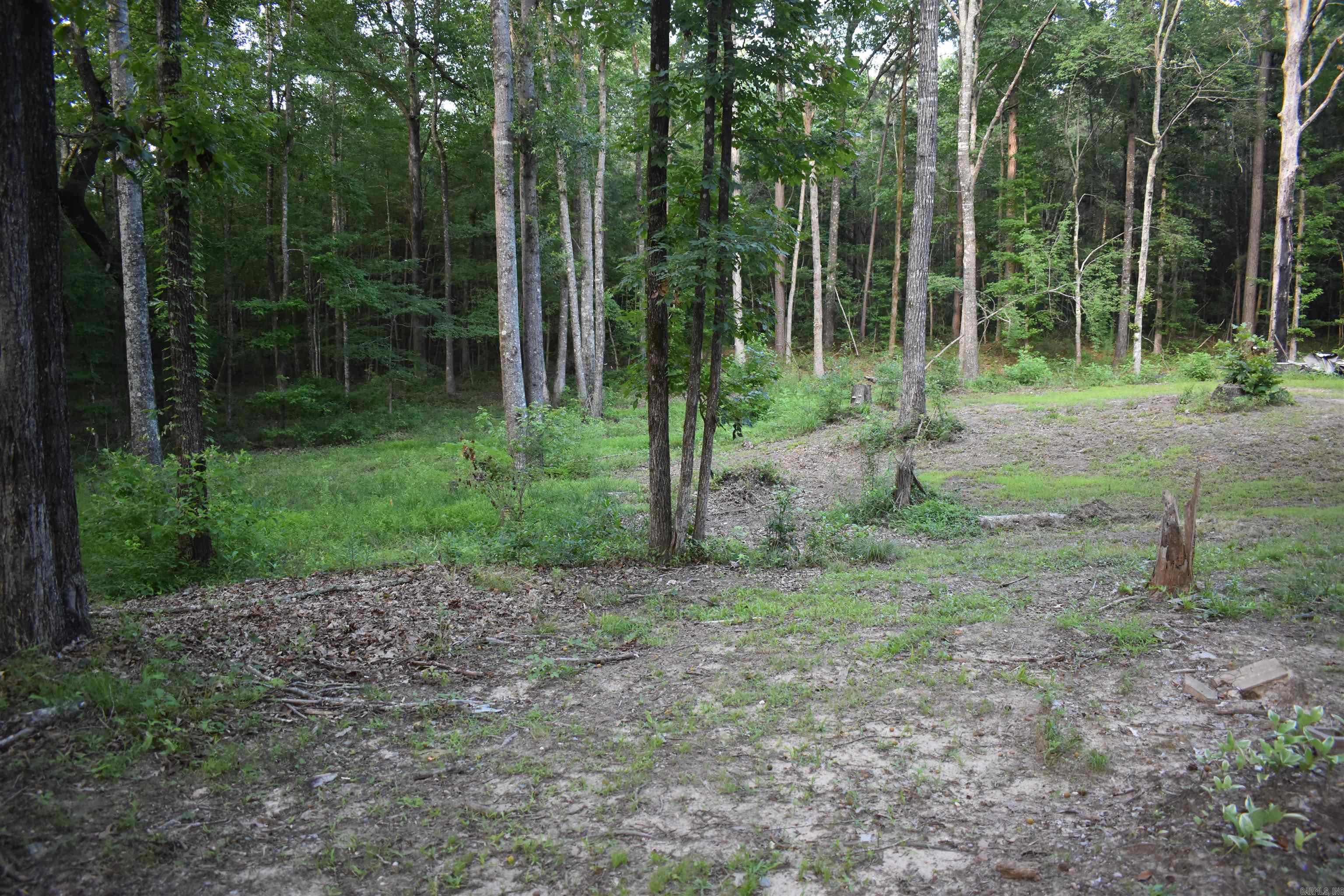 CHAPEL FOREST SUBDIVISION - Residential