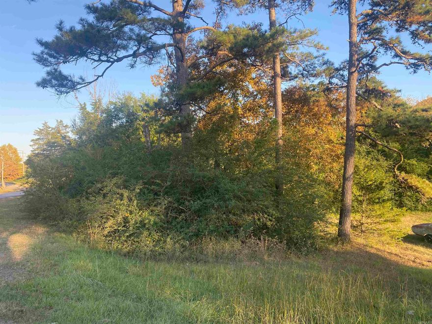 Great lot in the city limits of Heber Springs!!! This would be a great area to start up a new business on the East side of town.  Check it out!!