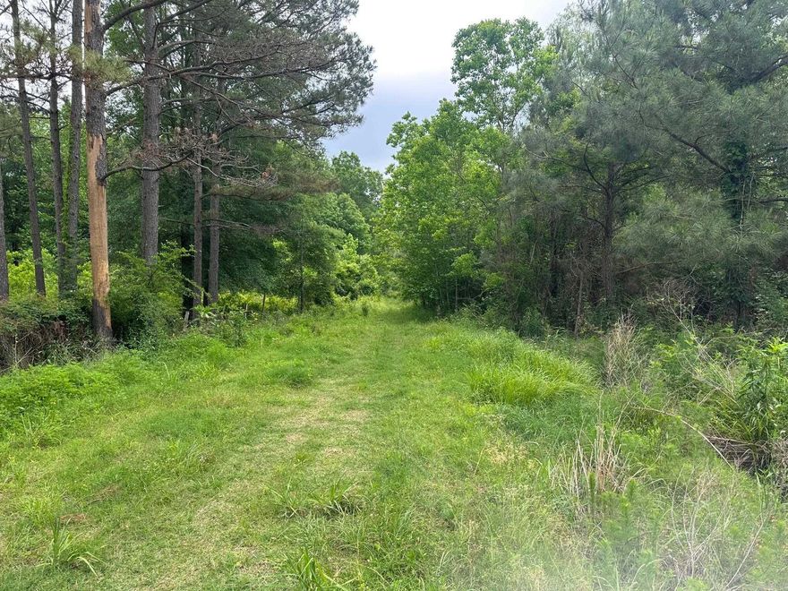 Beautiful piece of property for hunting or timber investment