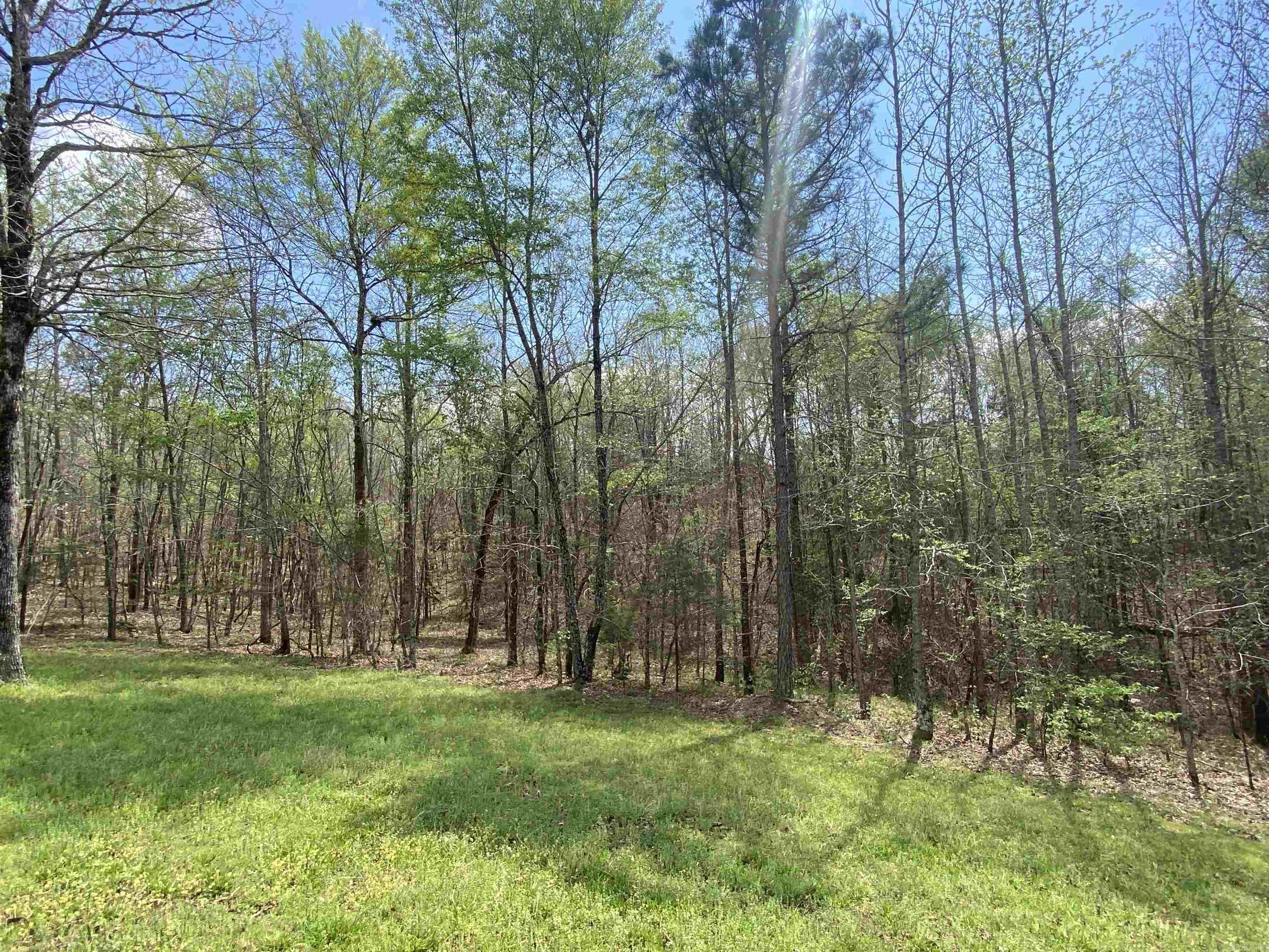 MOUNT IDA - Residential