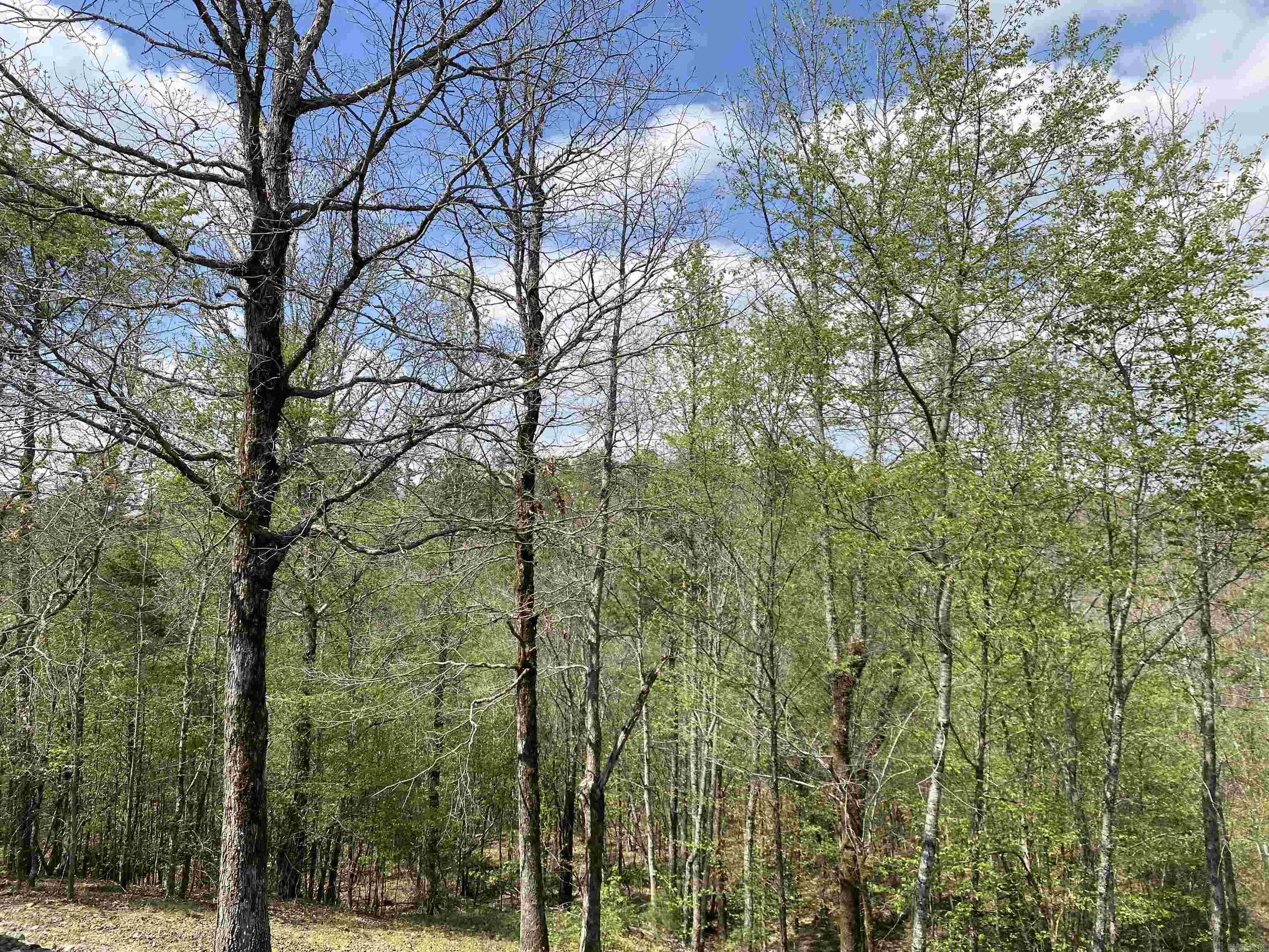 MOUNT IDA - Residential