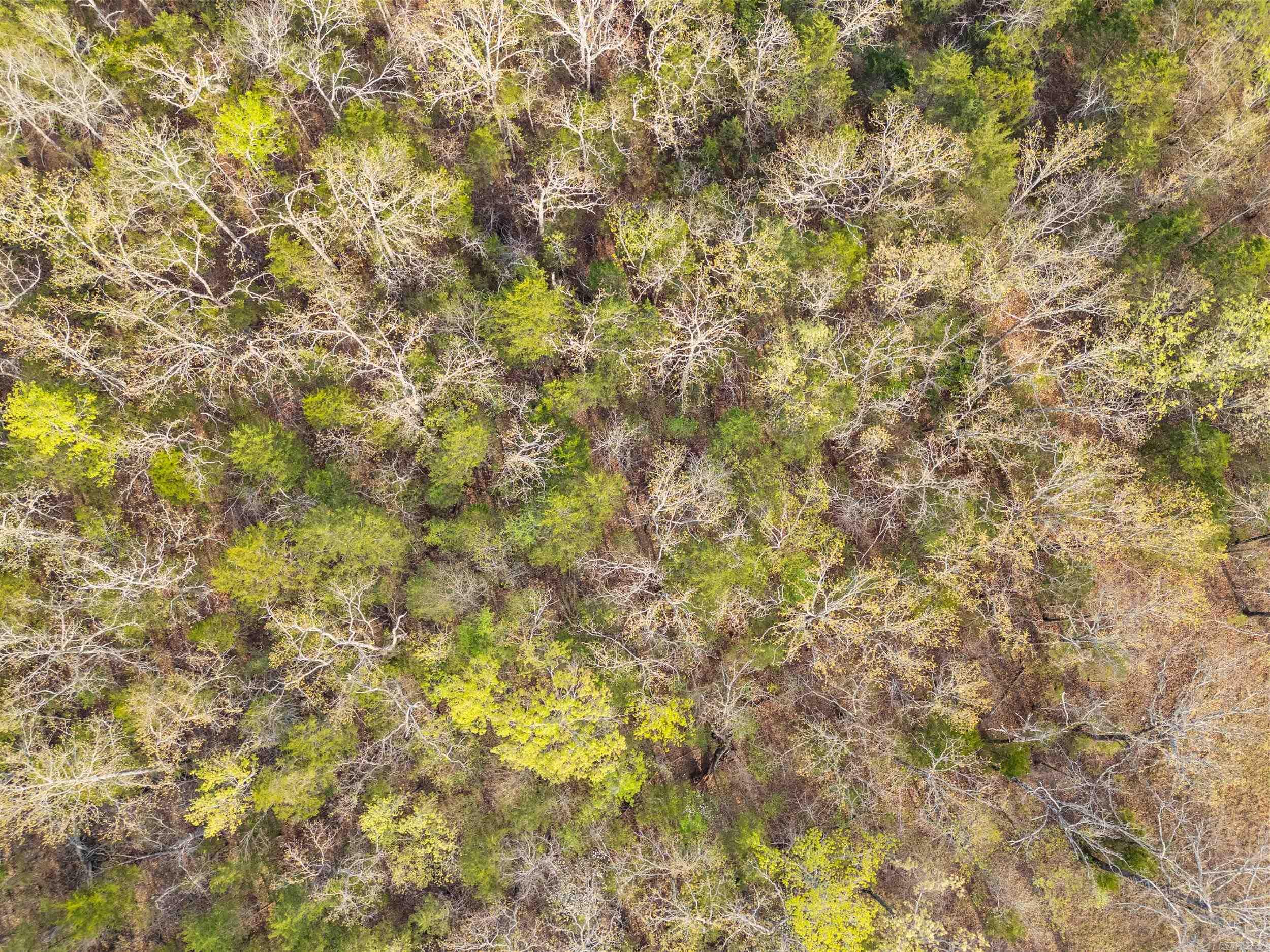 White River Valley - Land