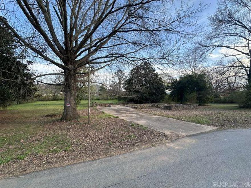Discover a rare opportunity to own a large versatile lot in the heart of quaint Jasper, AR. within walking distance to park, public swimming and fishing holes, healthcare and restaurants. Zoned for commercial or residential use. Build your dream home or invest in a growing area with an increasing demand for housing.