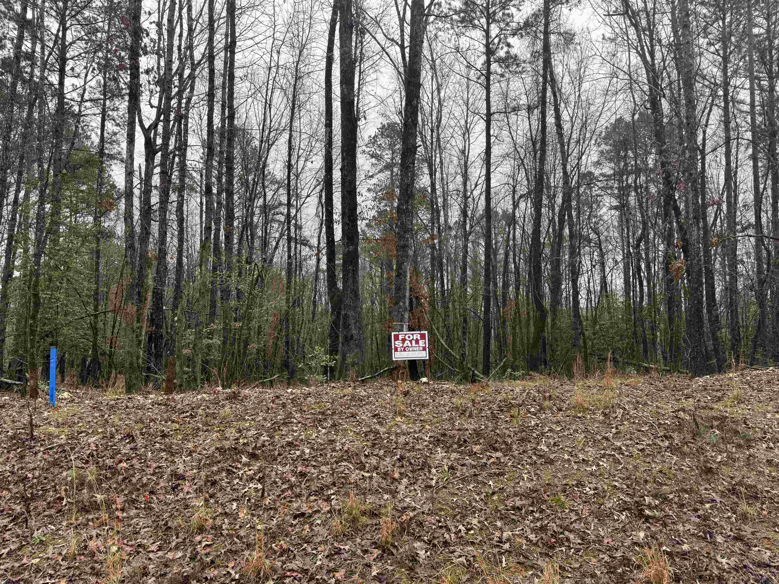 Williams Creek Estate - Land