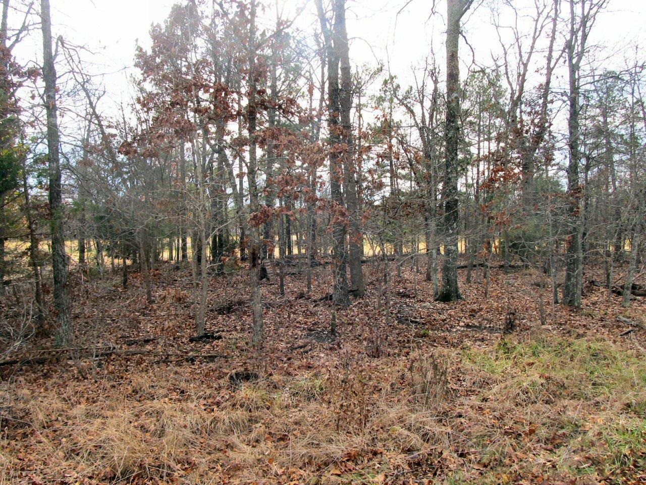 Corner lot, great building site. This is a nice sized corner lot in Cherokee Village and would be a great spot to build. Whether you are looking for a spot for a get away place or for your dream home this could be it. What a great place to call home!!