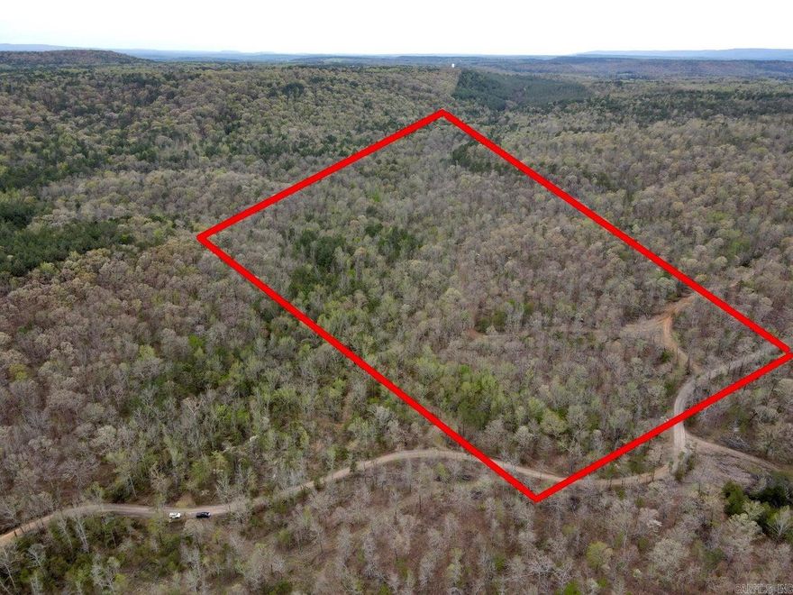 80 acres with lots of opportunity, great for hunting, trail riding, or building! This property has great marketable timber as well. Call for more information.