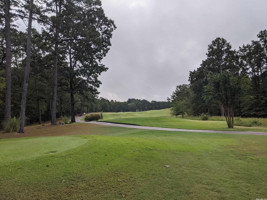 Beautiful Golf Course Lot sits at the 14th hole and 15th tee of #3 ranked course in Arkansas Diamante. Build your dream home in Diamante Country Club located within Hot Springs Village the largest gated community in the country. Diamante amenities include tennis, private pool and pickle ball. Walk or ride your cart to the clubhouse for chef created meals and social events.  Additional Hot Springs Village amenities such as 11 lakes, pickleball and trails.