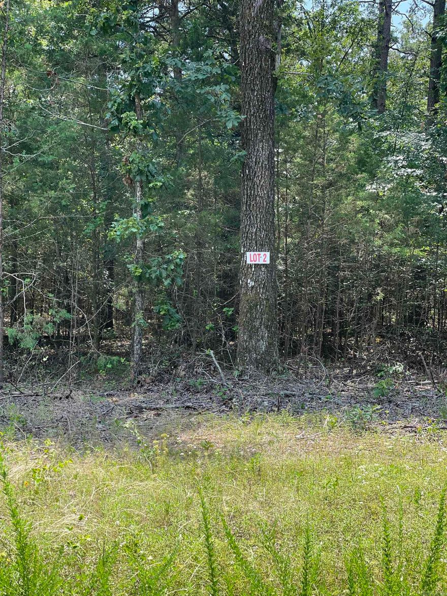 Nice flat lot.  Mobiles ALLOWED!!  There is a utility easement on the back side of property so no one can build on it.  Cut the right trees for lots of privacy. Convenient to shopping in the town of Greers Ferry. This is a superb location for a vacation/weekend getaway or a permanent home.  Lake access on Twin Coves just around the corner!!