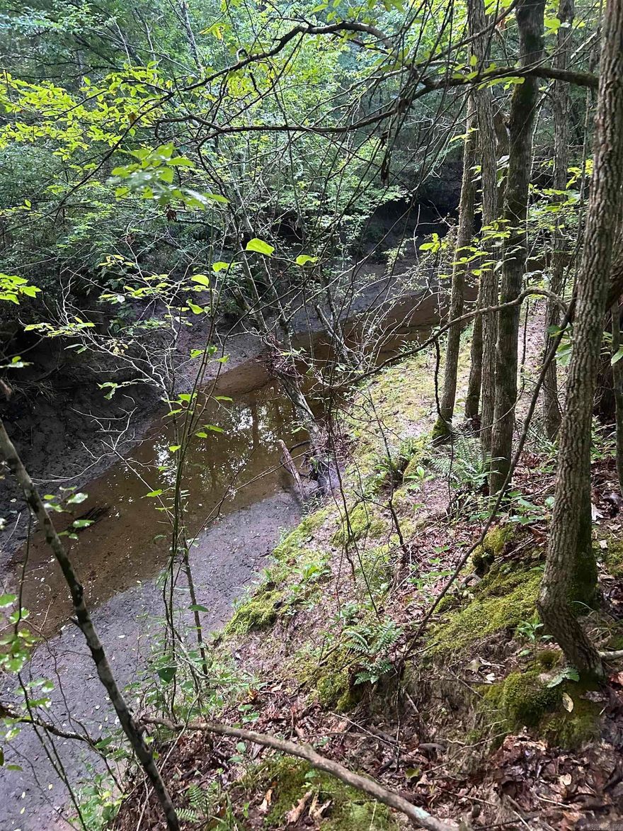 60 acres - total timberland, growing pine and hardwood timber.  Property has a beautiful creek running through and also has a pond, only 2 miles from Grandview, offers hills and flatland.  Surrounded by leased timberland behind a lock gate, gravel timber road access that dead-ends to property.  Private, great hunting or land investment.