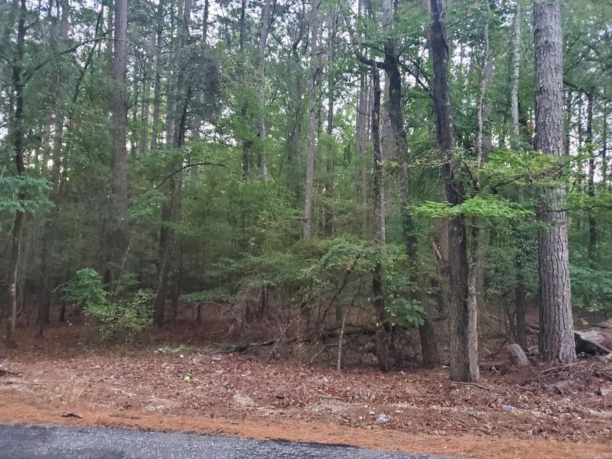 Nice wooded acreage off Hwy 26 West near Hollywood. 4.67 Acres mixed with Pines and Hardwood. Build your next dream home OR bring your deer blind and camper to unplug and enjoy nature. Call today!