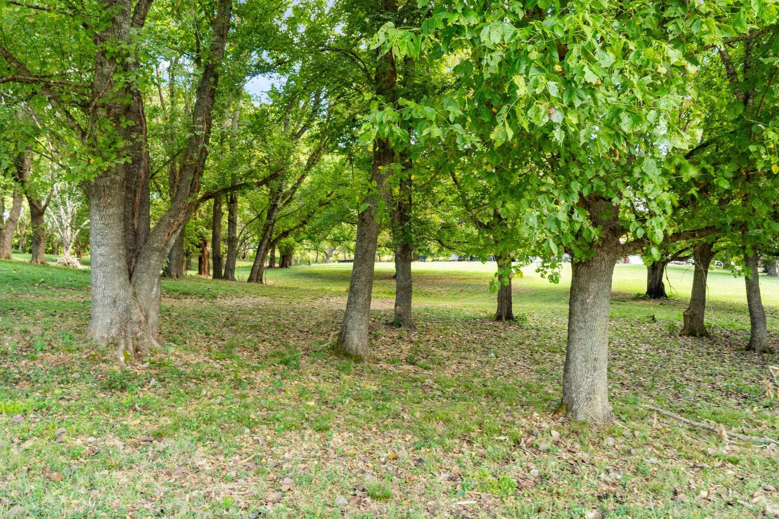 Riverside Estates-River - Land